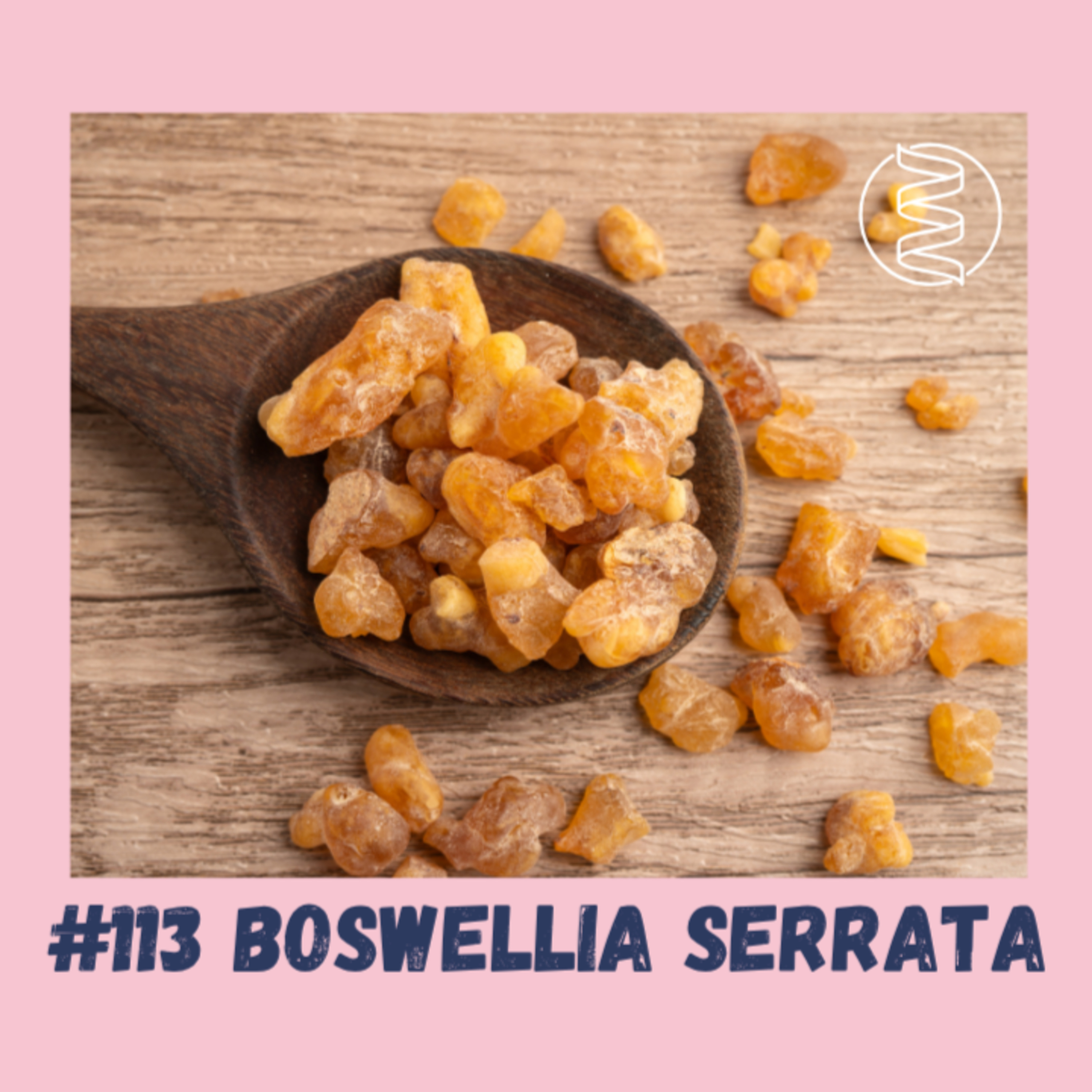 #113 BOSWELLIA SERRATA - KADIDLOVNÍK PILOVITÝ / epigenetika, klouby, svaly, šlachy, zánět, mikrobiom, artróza, artritida, chrupavka, ateroskleróza, ADHD, deprese, boswelie serrata episode artwork