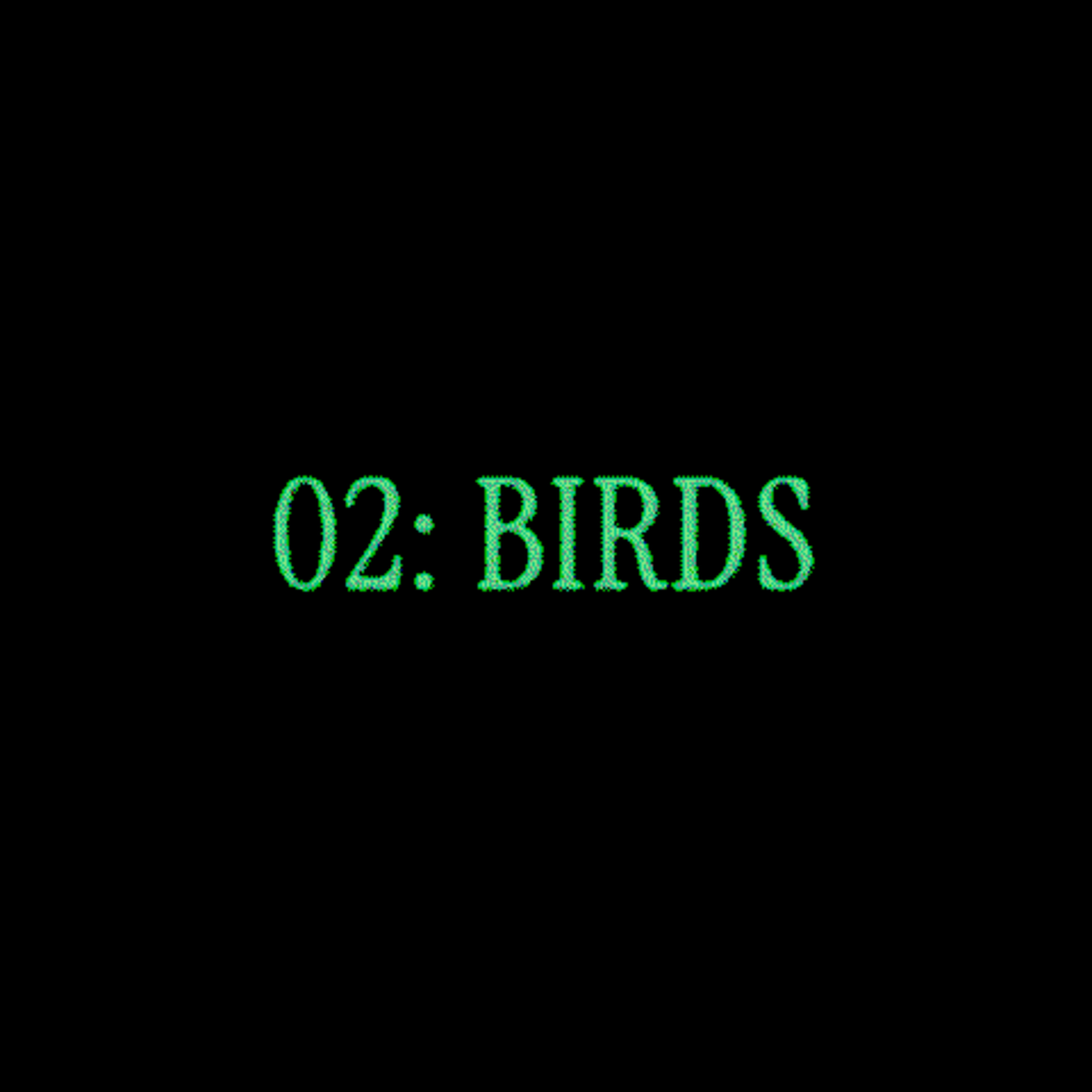 02: BIRDS episode artwork