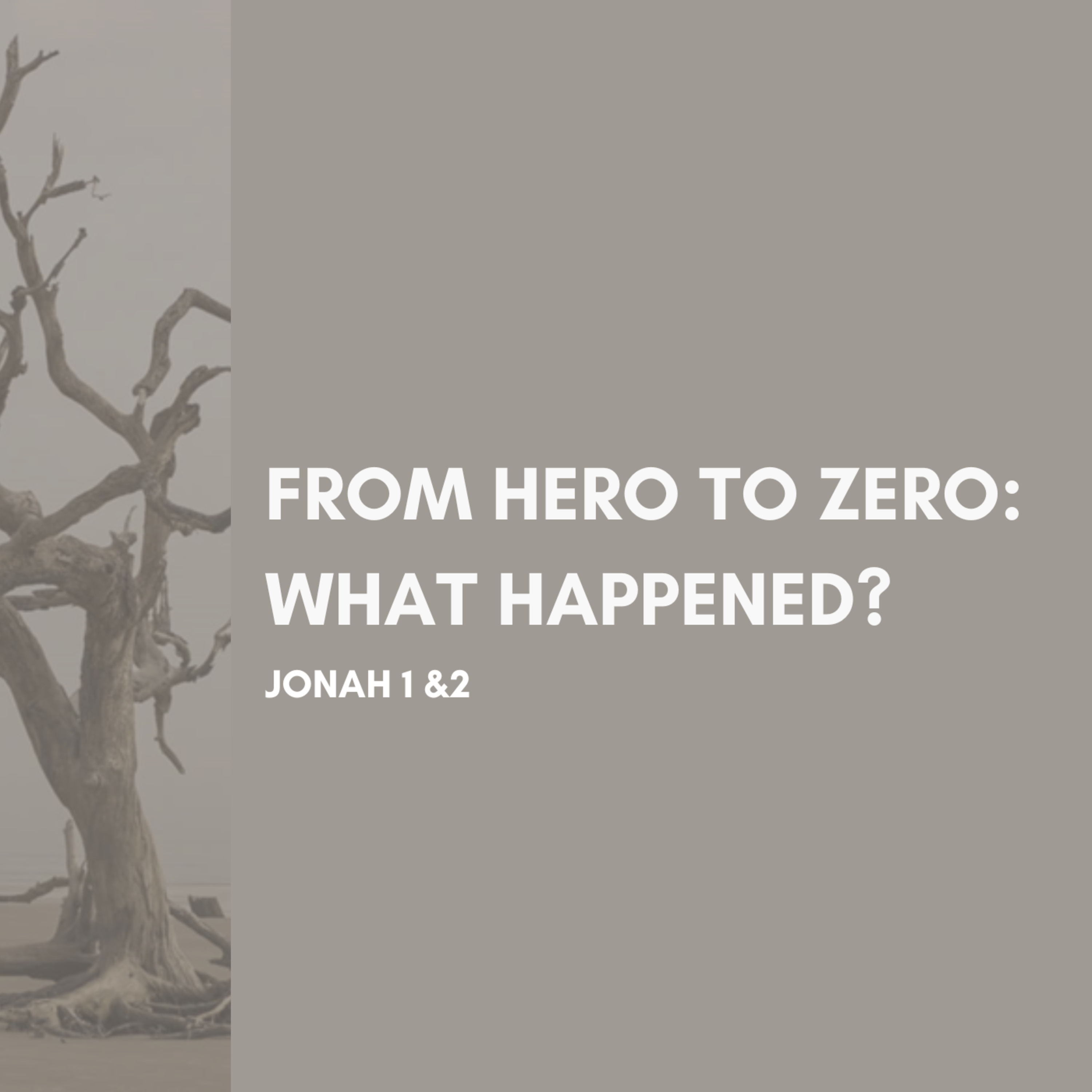 "From Hero to Zero": What Happened? episode artwork