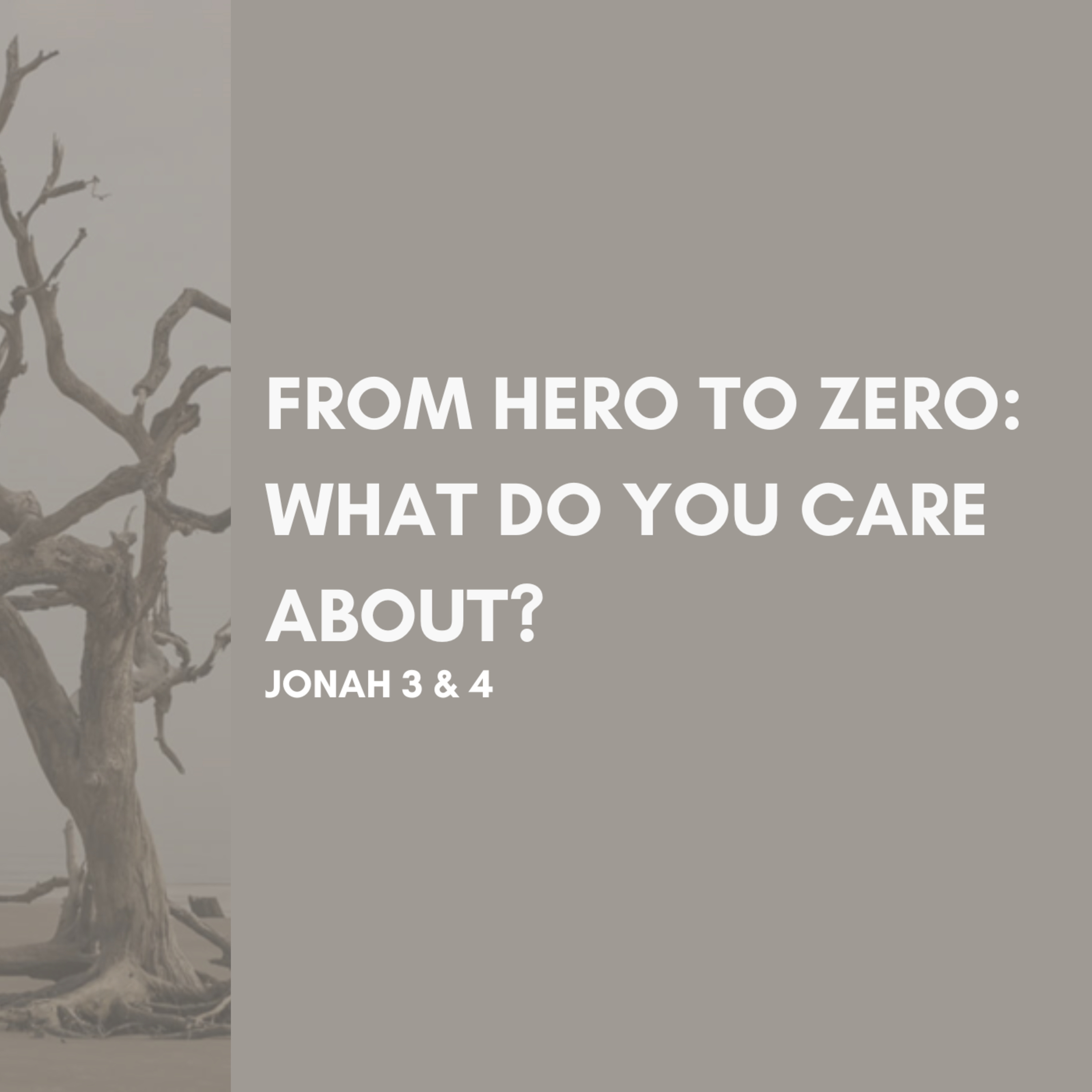 From Hero to Zero - What Do You Care About? episode artwork