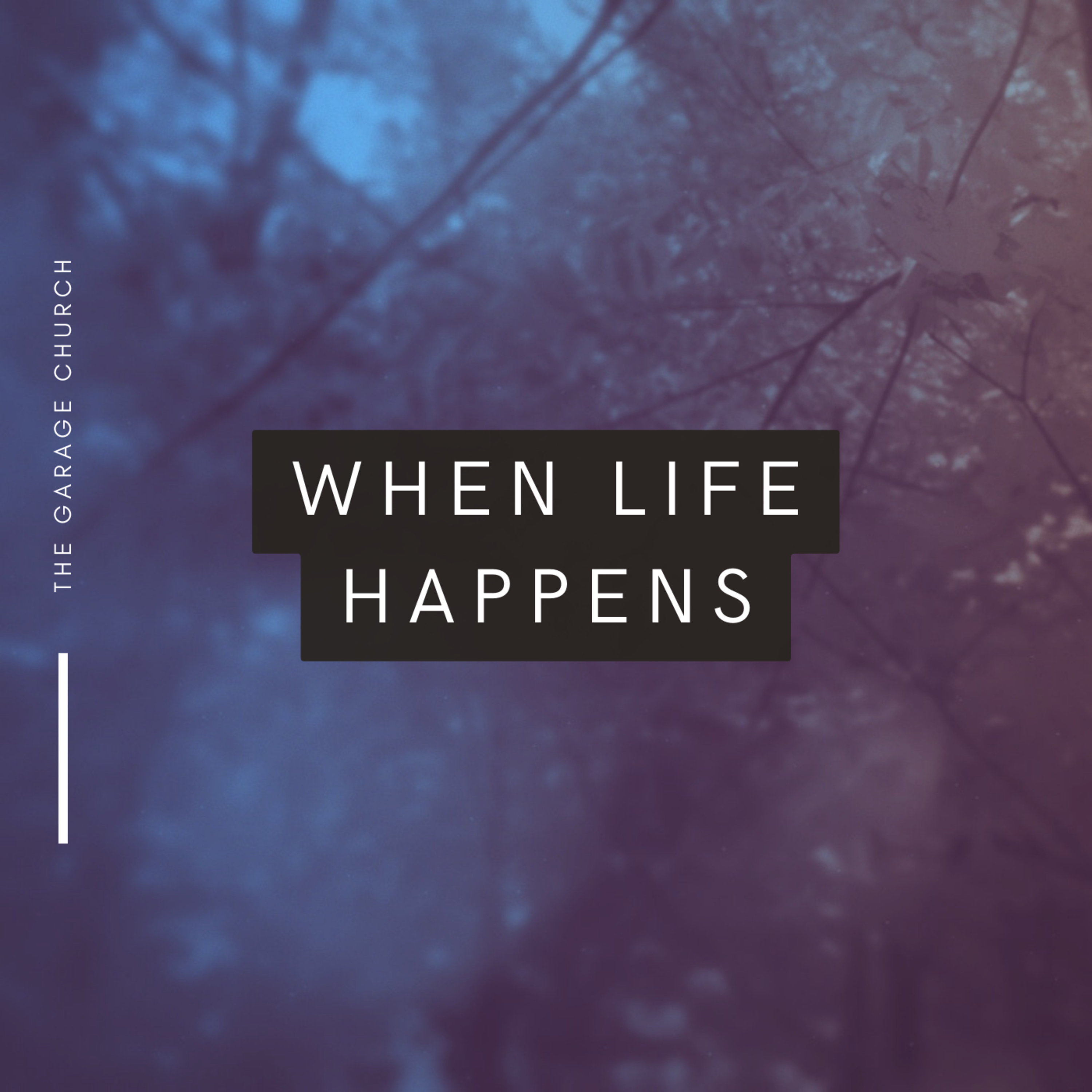 When Life Happens: 2 Samuel 16:1-14 episode artwork