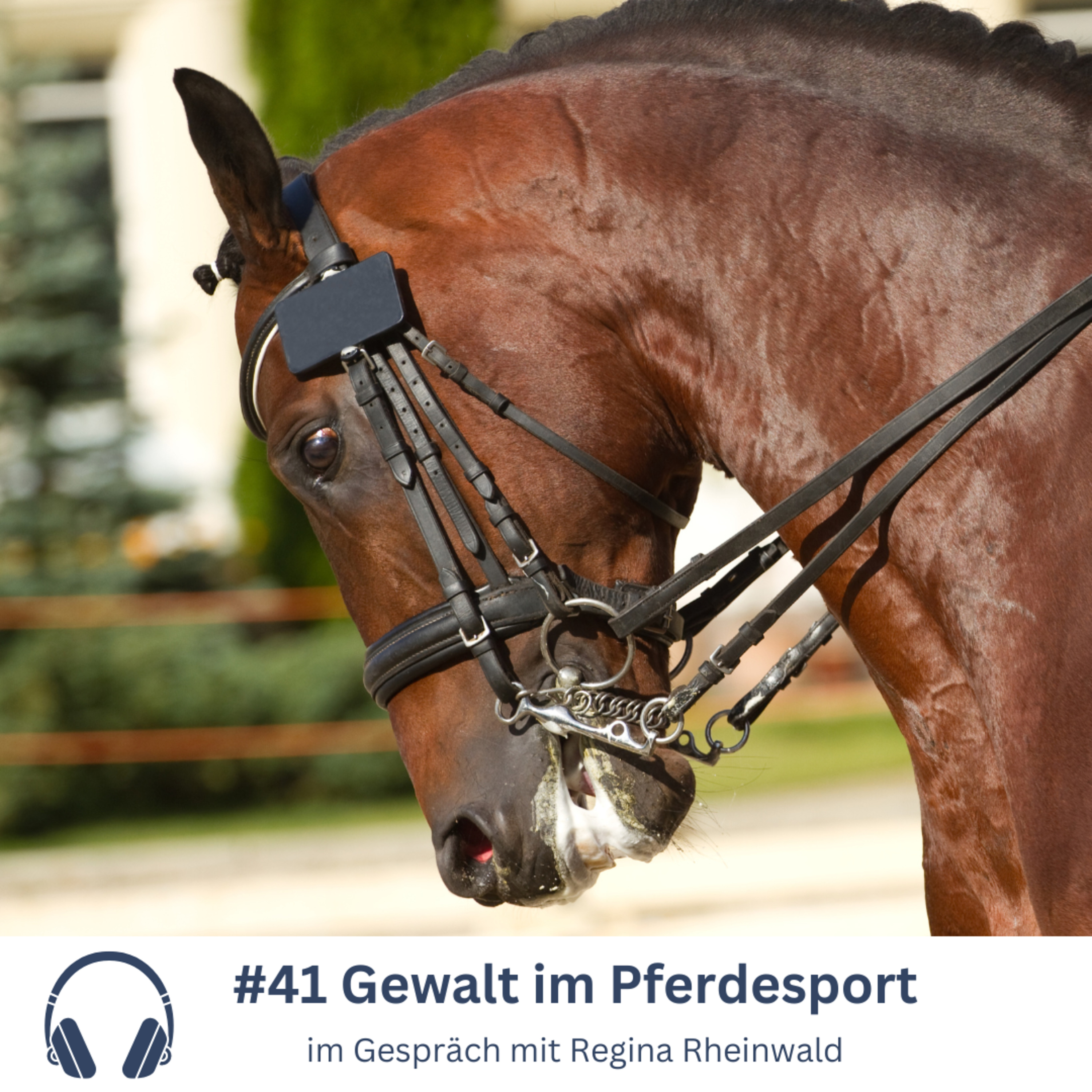 Kompetenz-Zirkel Pferd