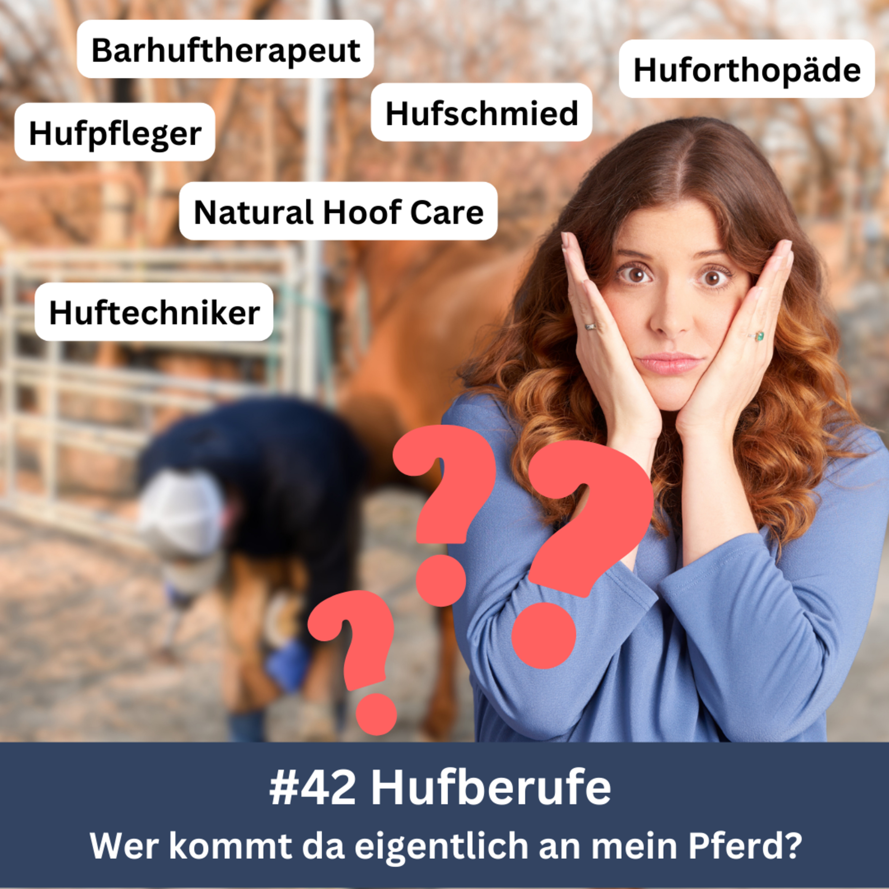 Kompetenz-Zirkel Pferd