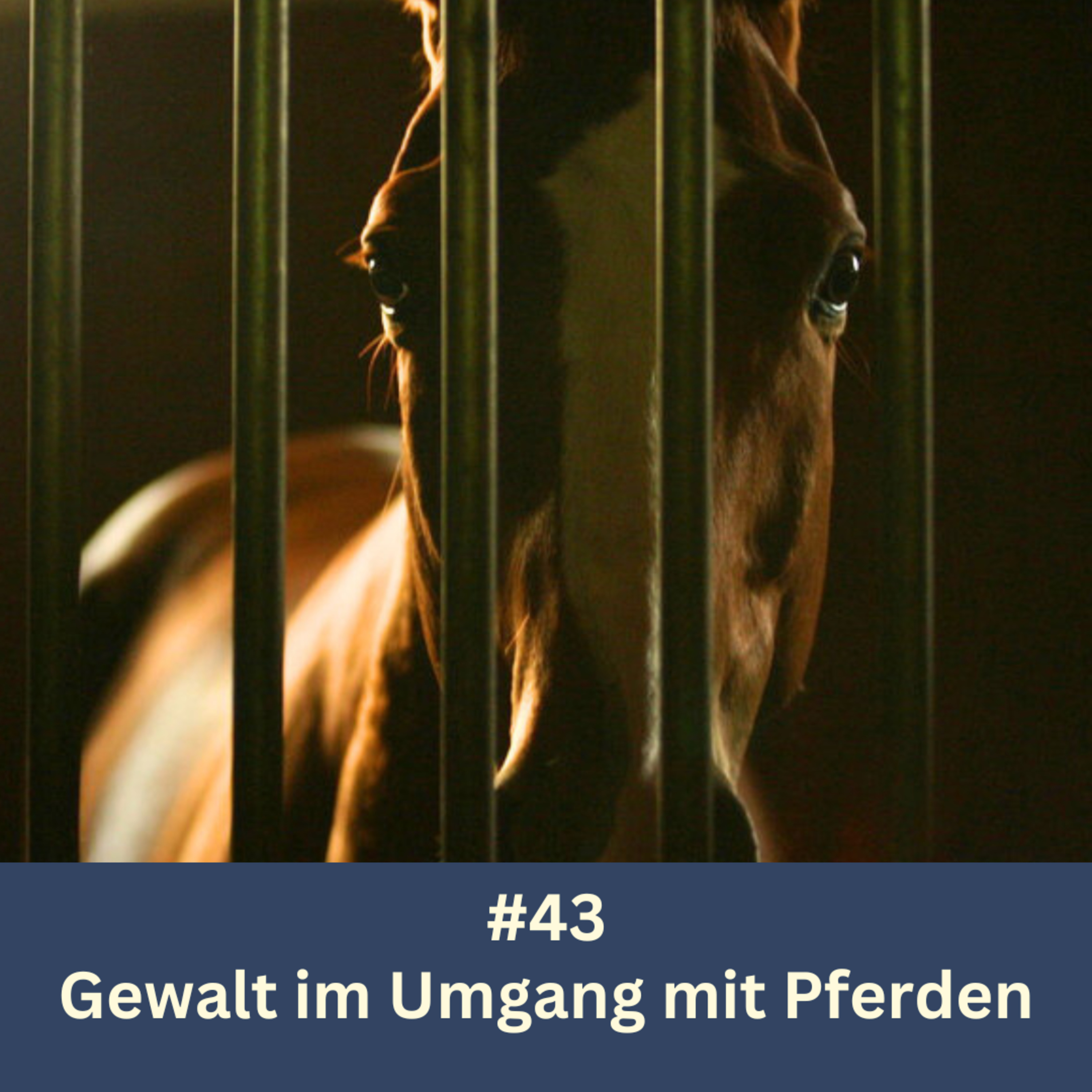 Kompetenz-Zirkel Pferd