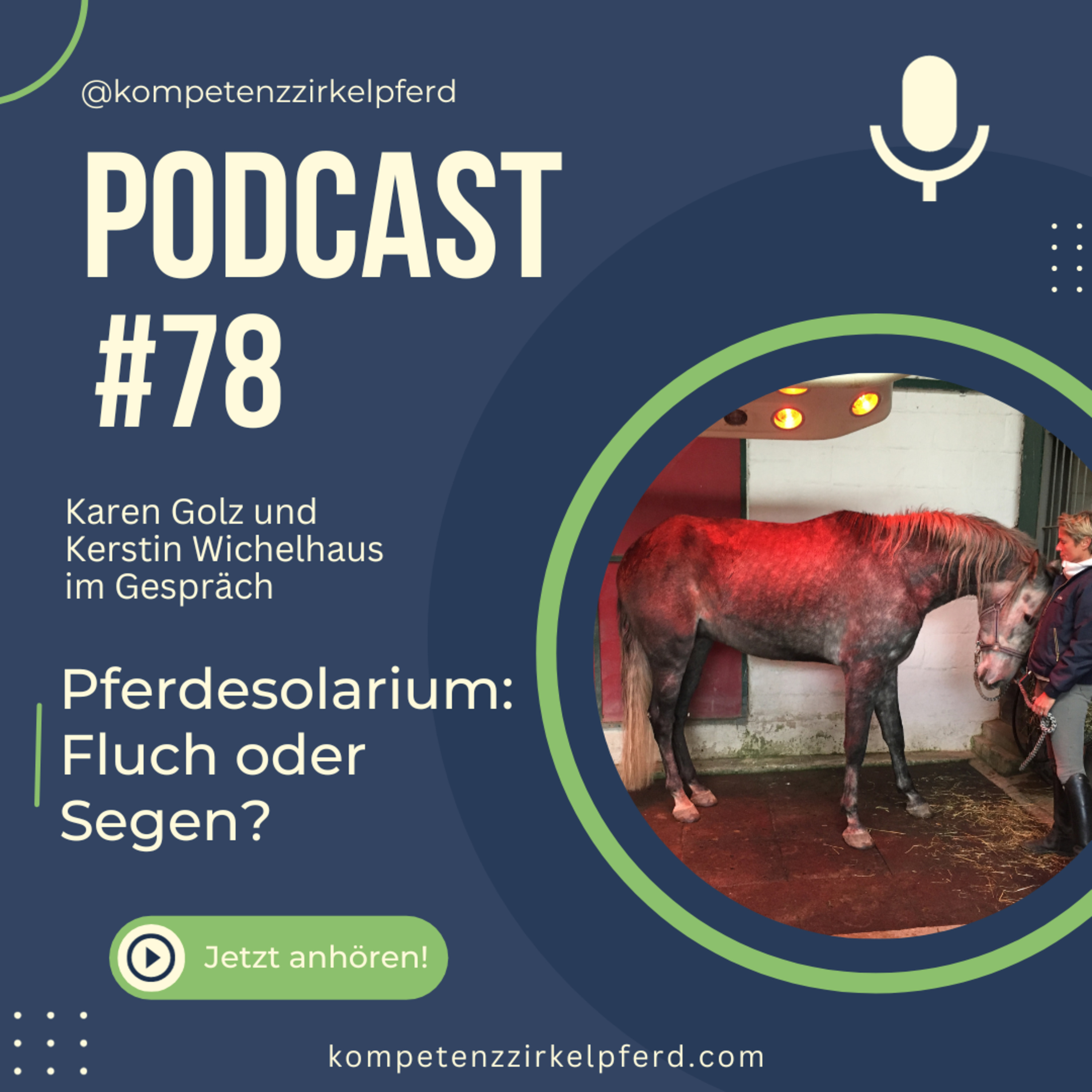 Kompetenz-Zirkel Pferd