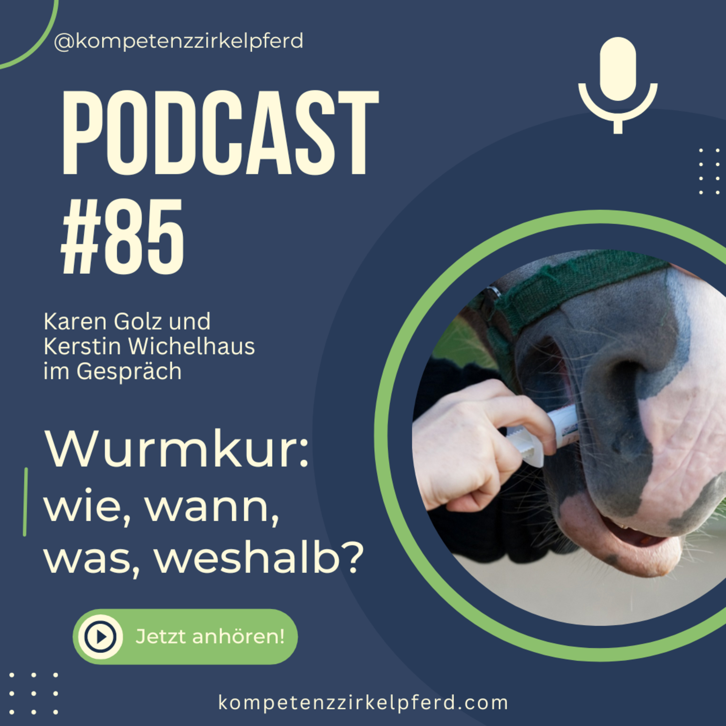 Kompetenz-Zirkel Pferd