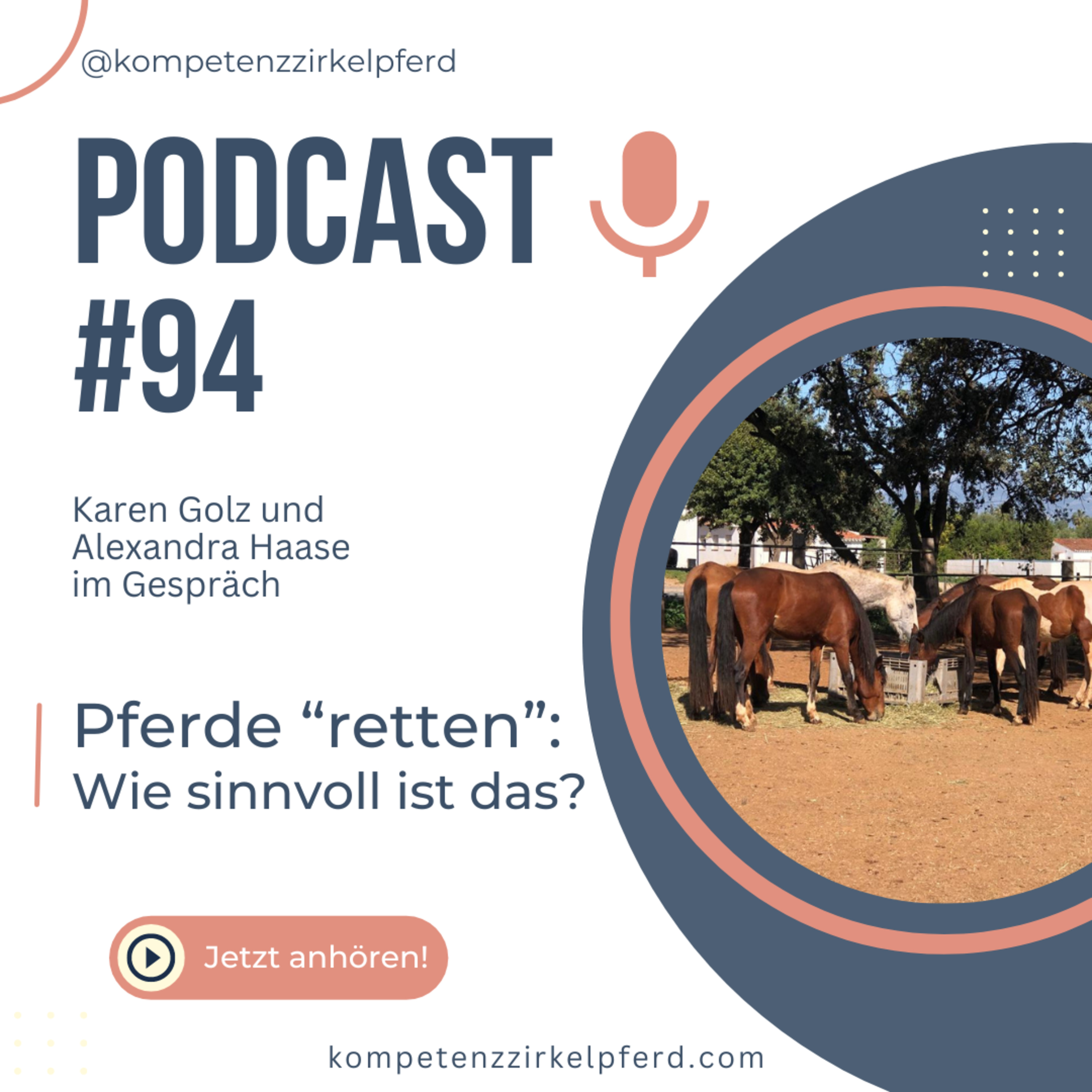 Kompetenz-Zirkel Pferd