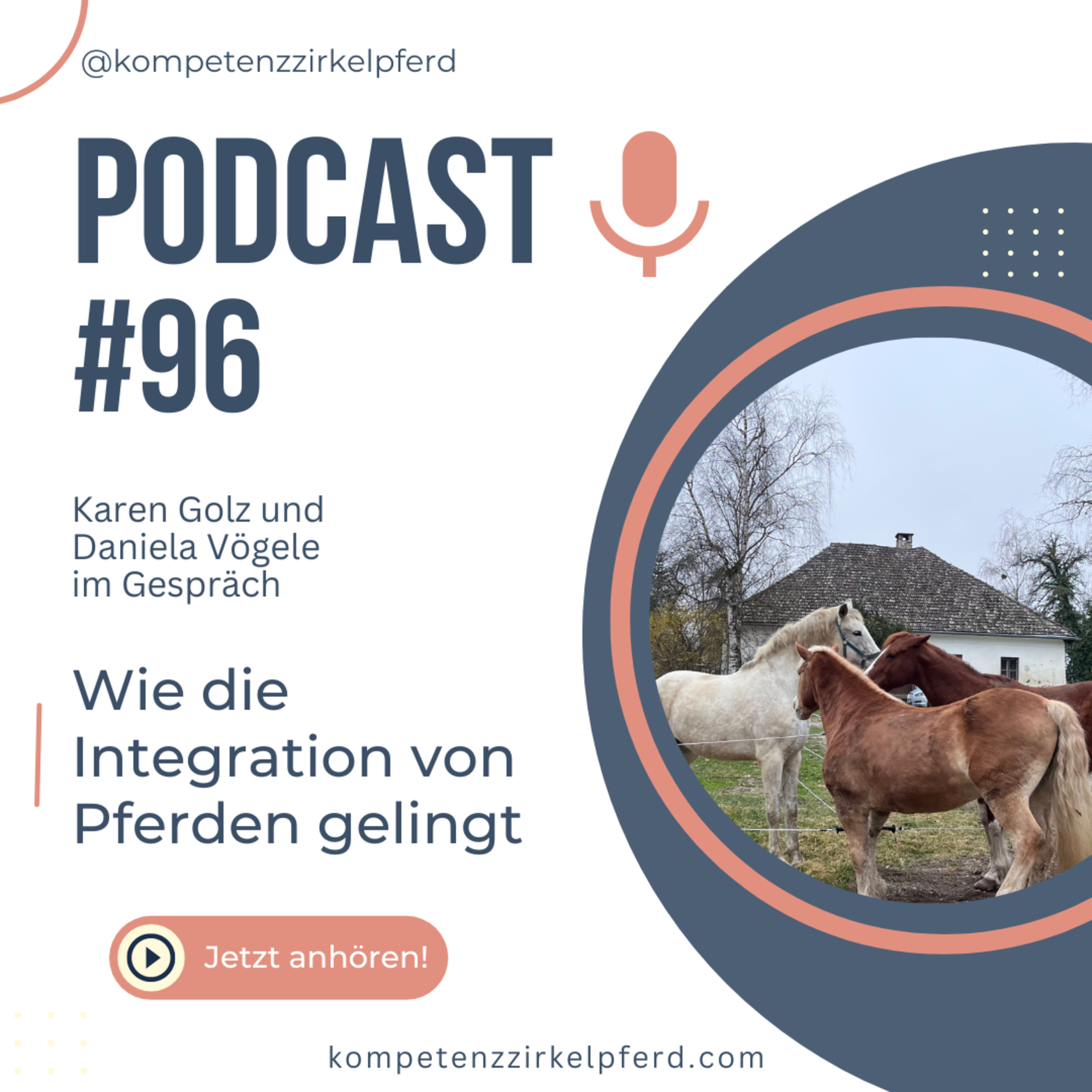 Kompetenz-Zirkel Pferd