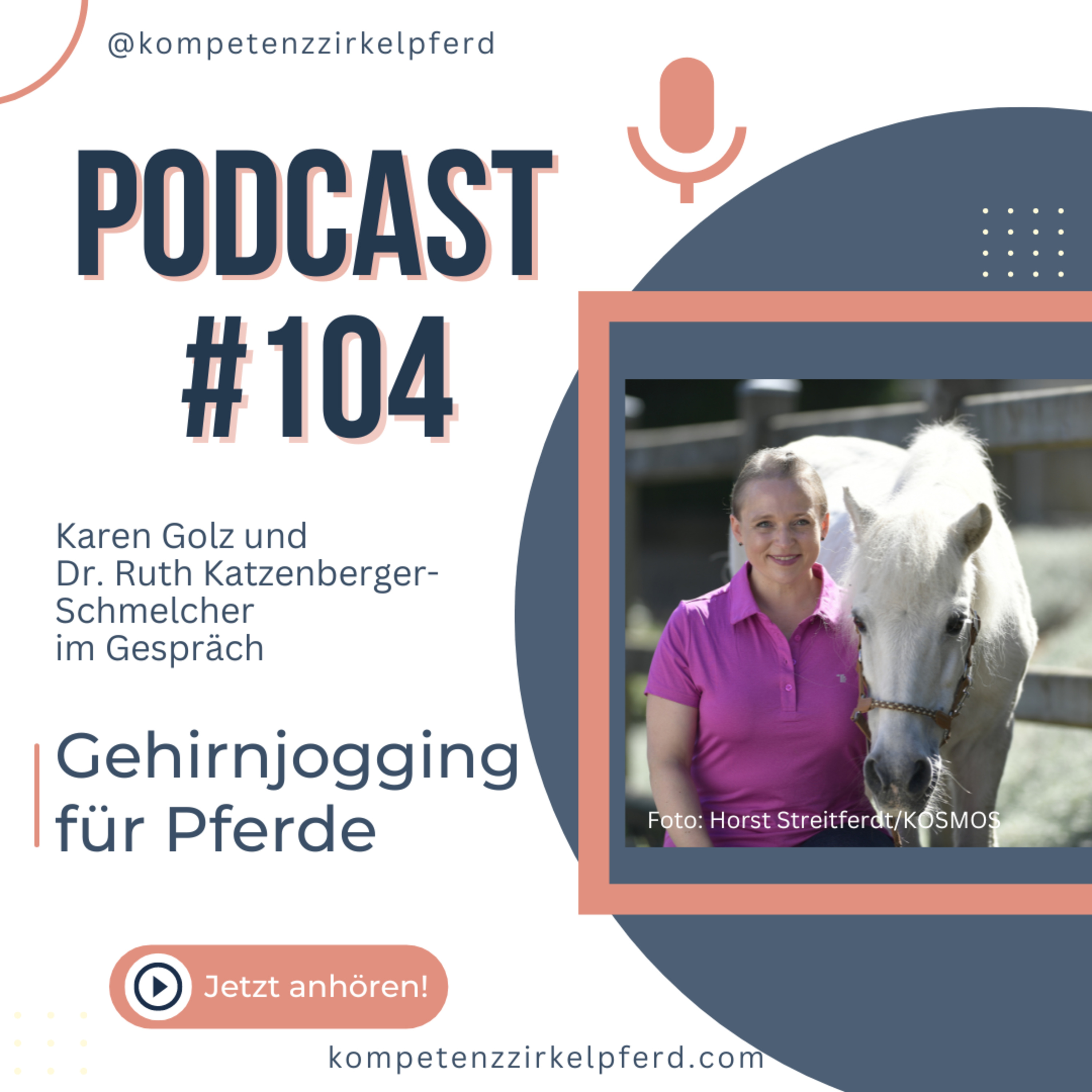 Kompetenz-Zirkel Pferd