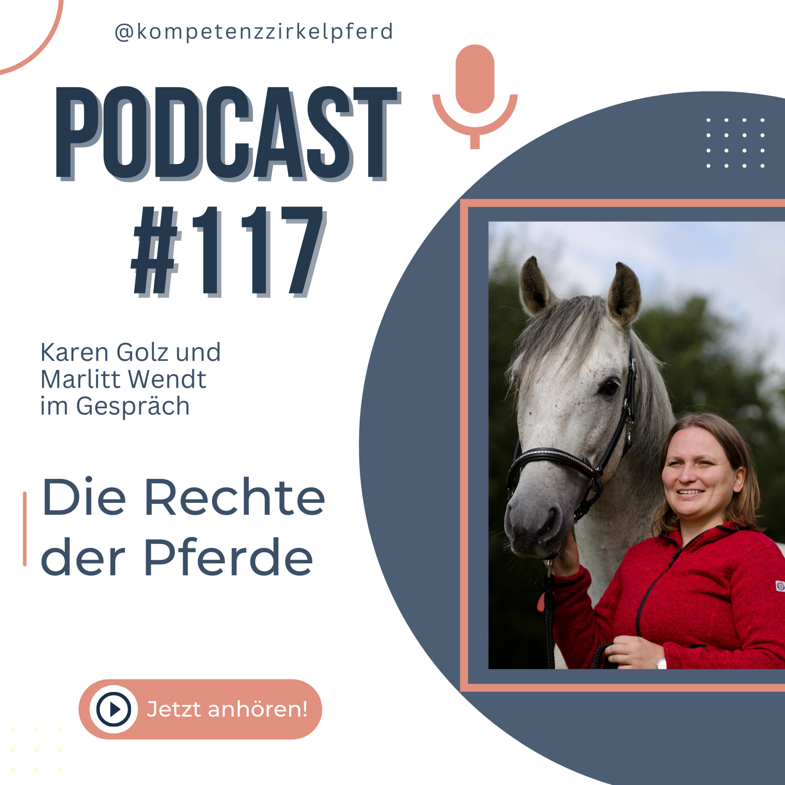 Kompetenz-Zirkel Pferd