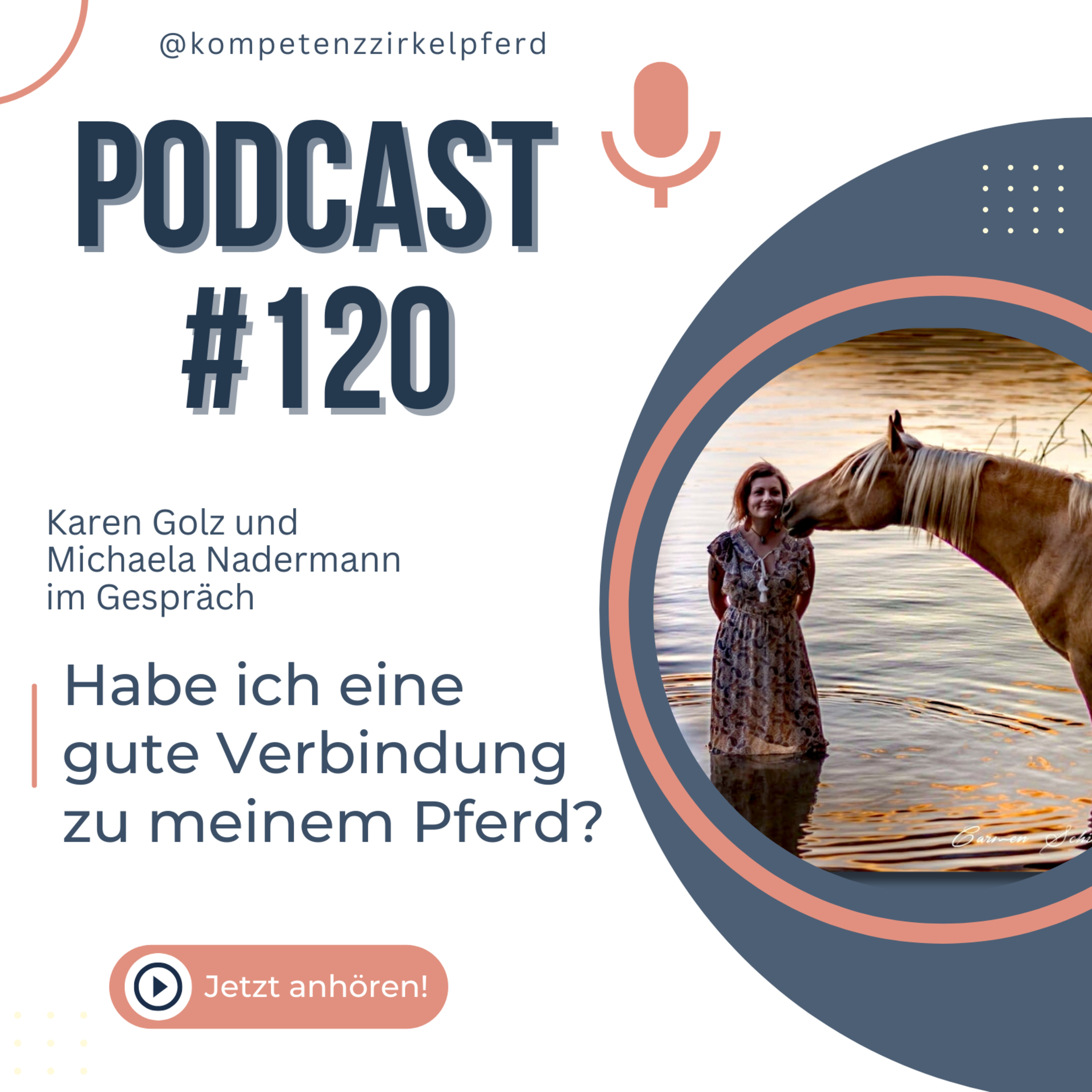 Kompetenz-Zirkel Pferd