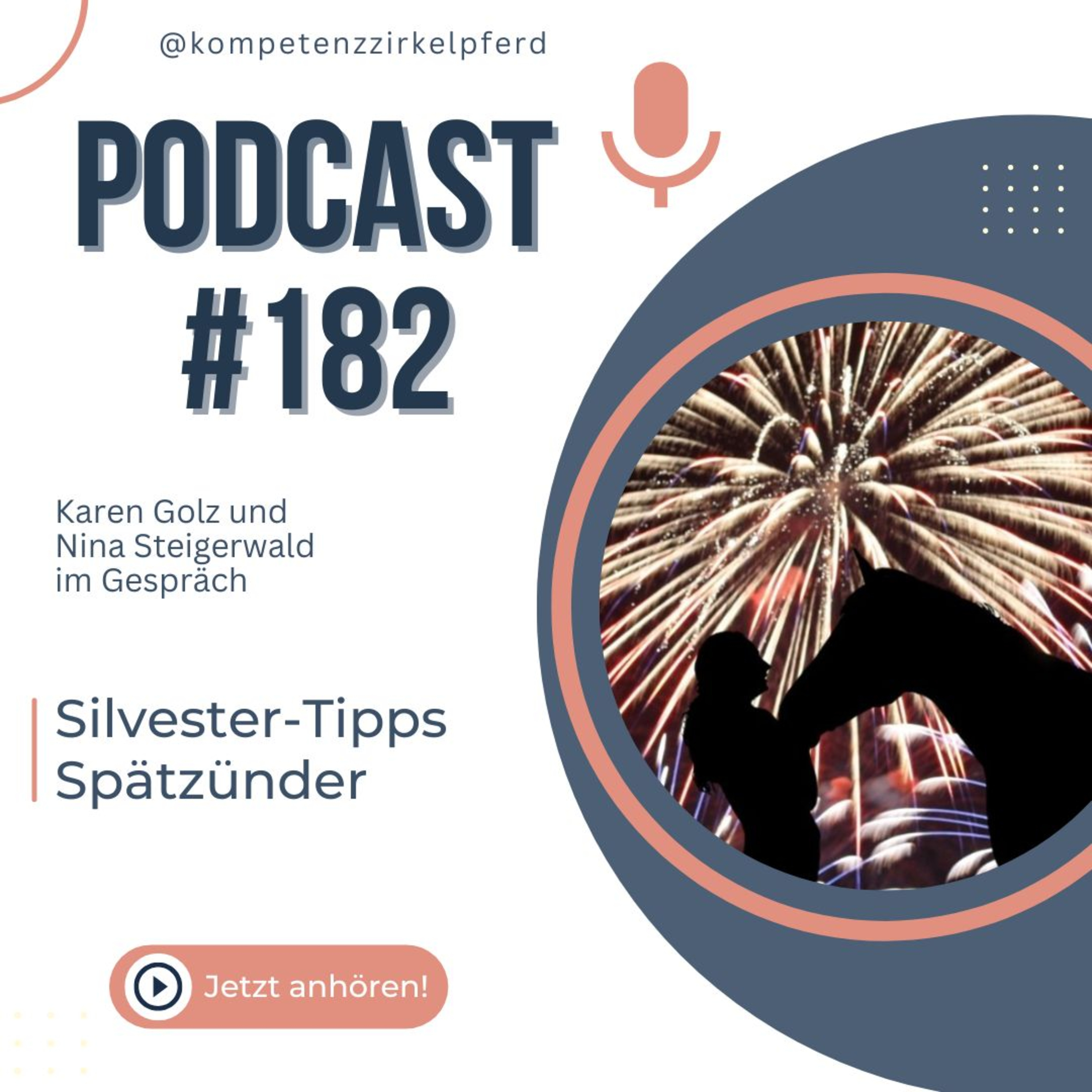 #182 Silvester-Tipps für Spätzünder episode artwork