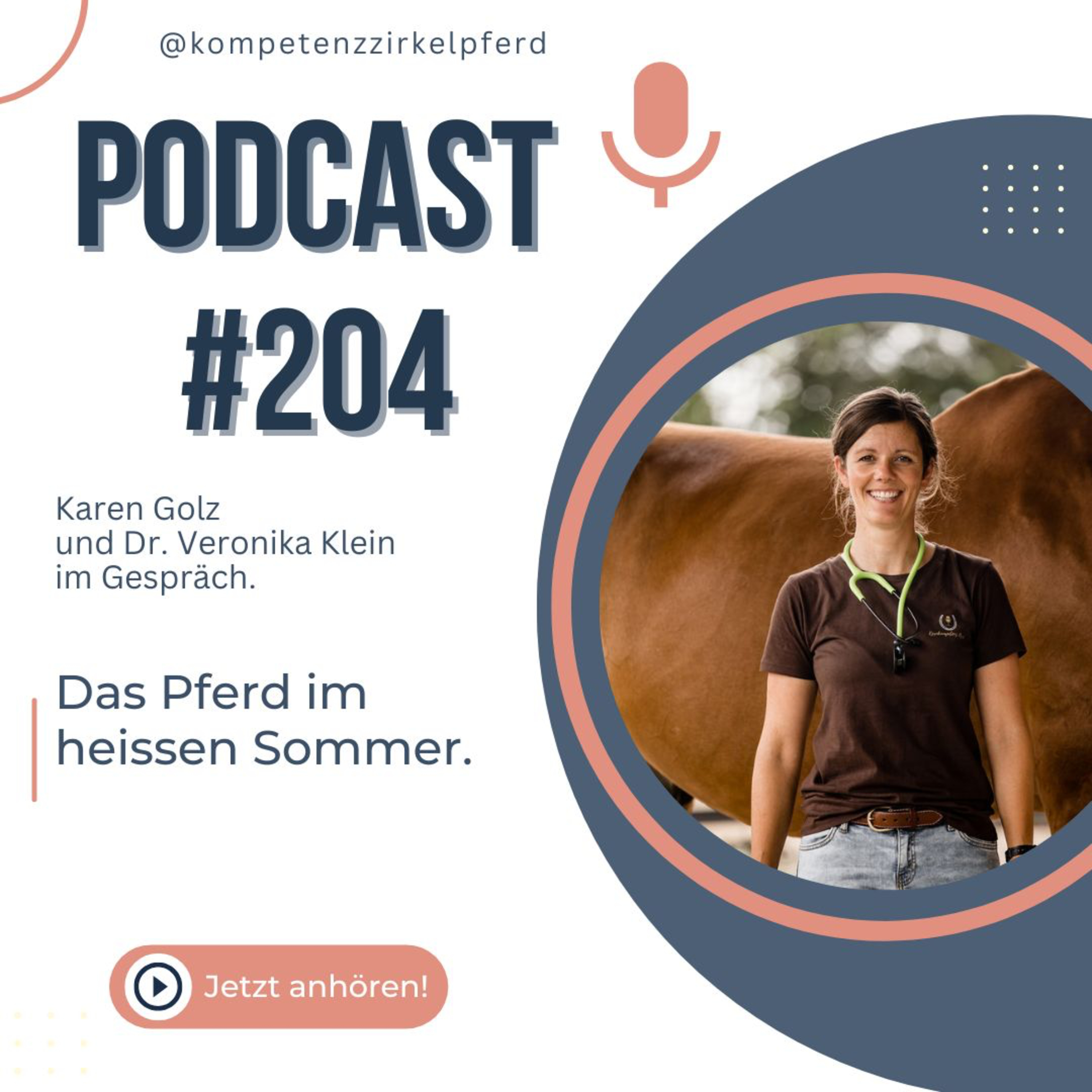 #204 Das Pferd im heissen Sommer. episode artwork