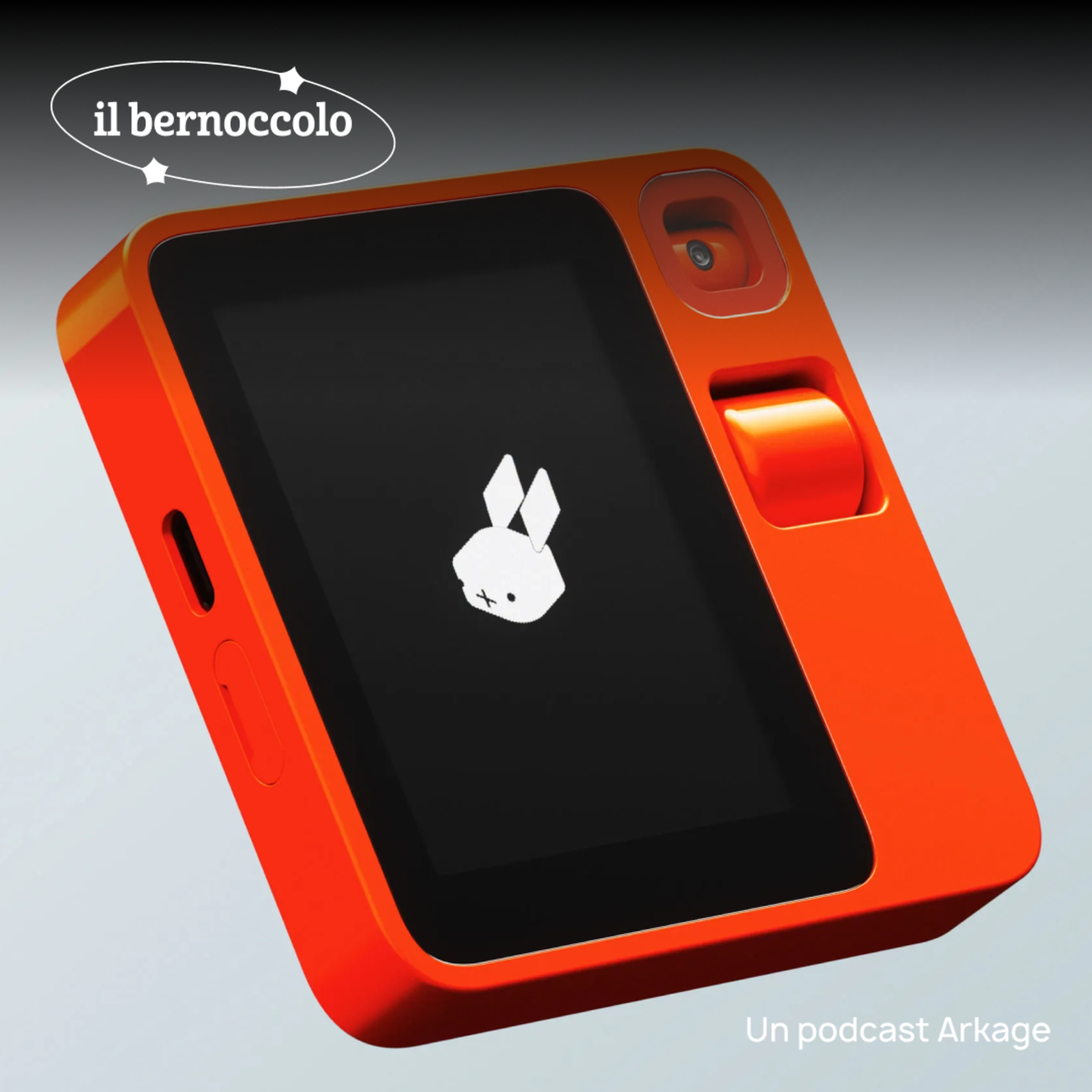 Il Bernoccolo