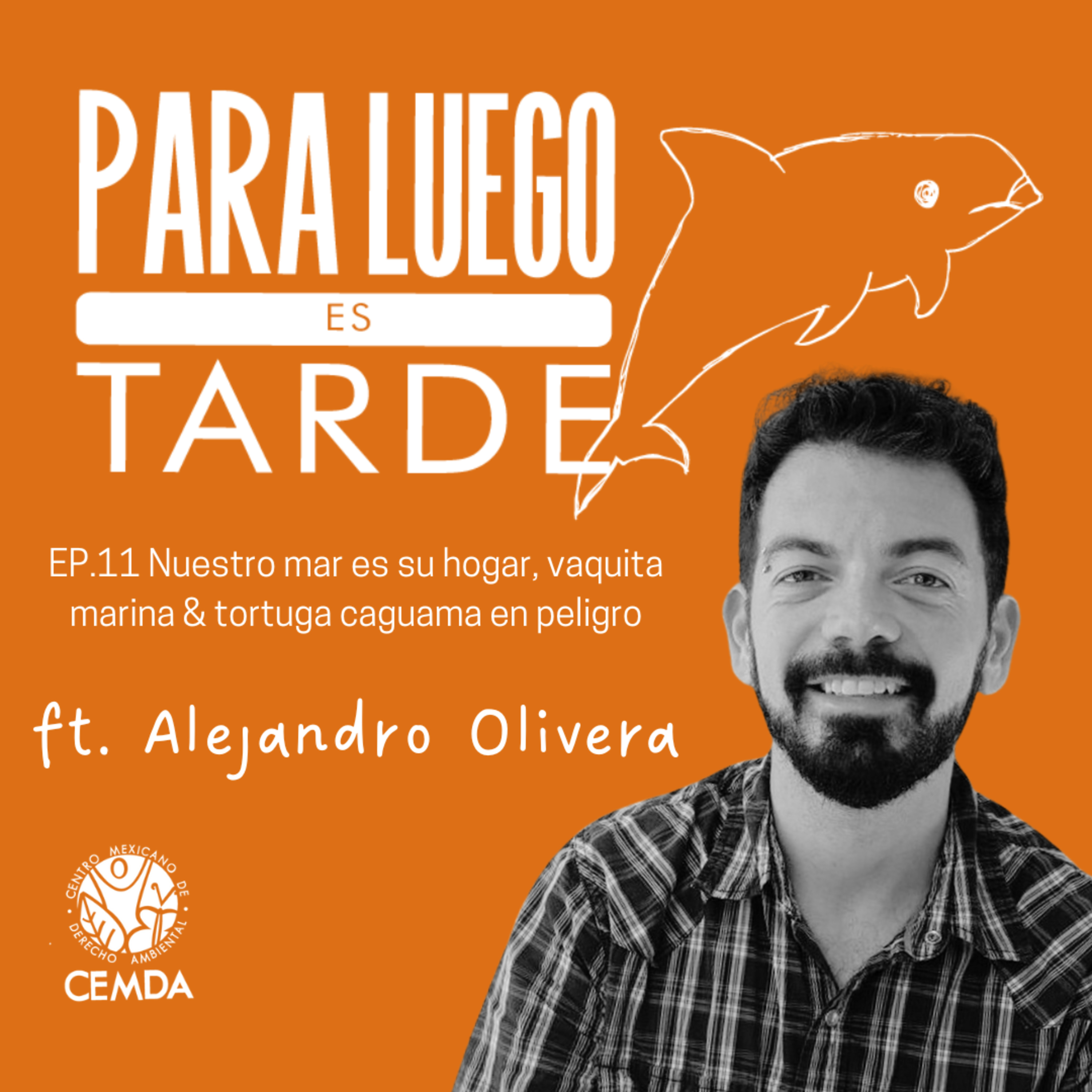 Para luego es tarde