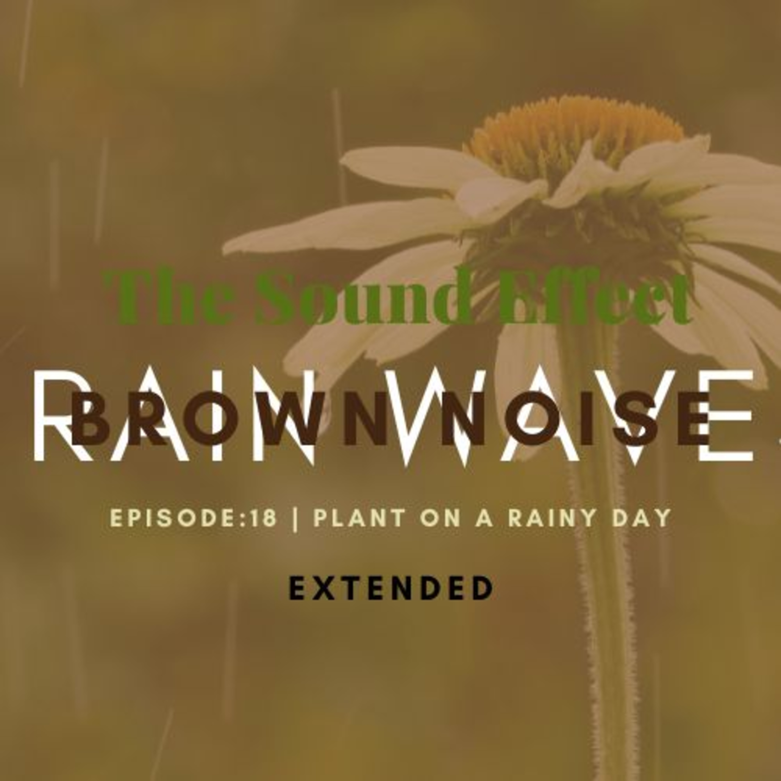 Brown Noise | Rain Waves: Season 2: Episode 18 | Plant on a Rainy Day [EXTENDED] (ASMR)