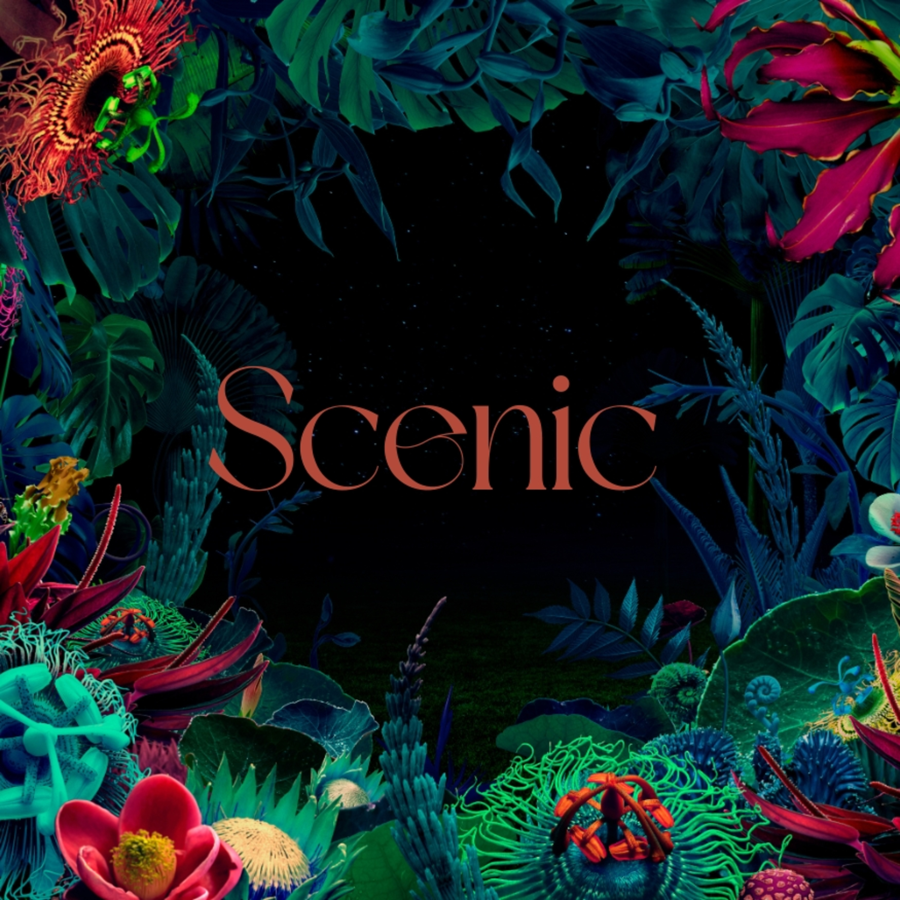 Scenic Sounds | Season 3: Episode: 4 | South Jungle (ASMR)