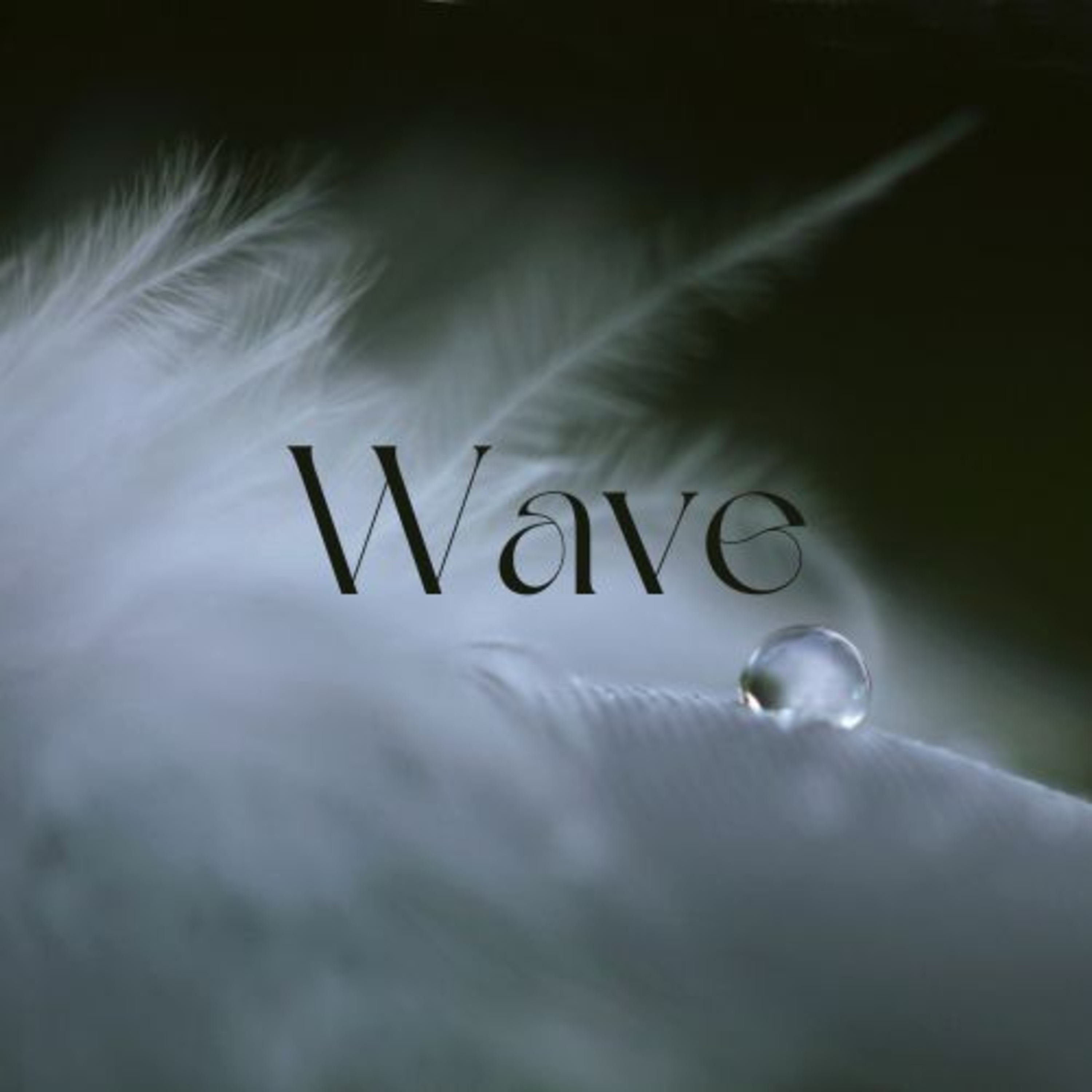 Rain Waves | Season 3: Episode 4 | Soft