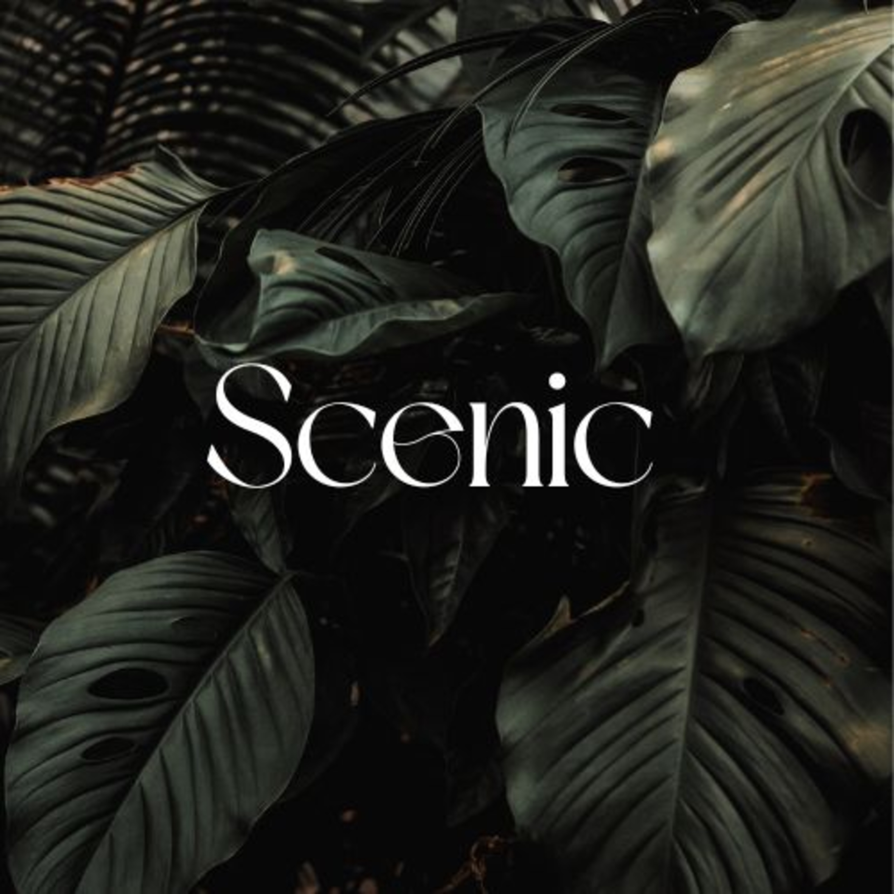 Scenic Sounds | Season 3: Episode: 7 | Jungle Hill