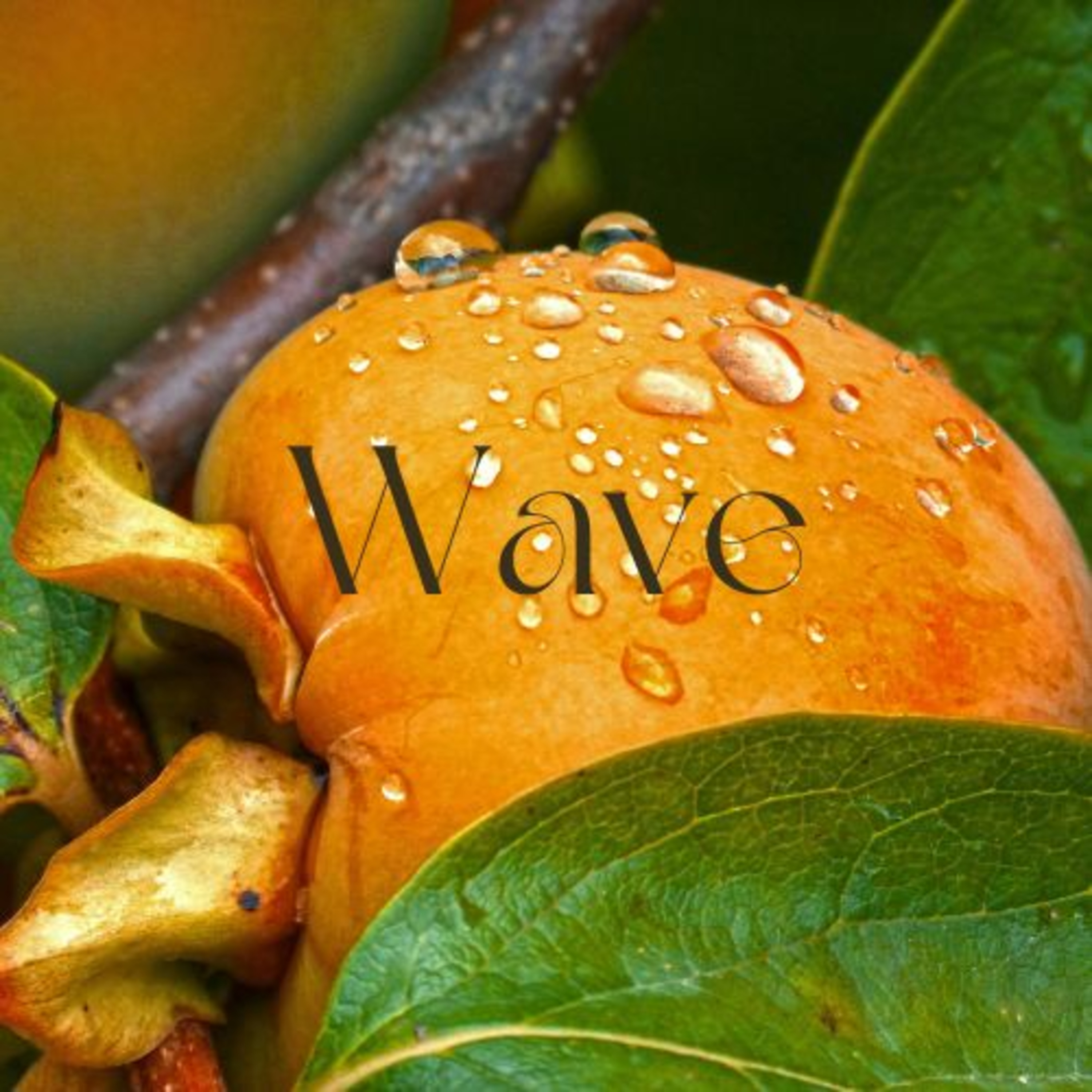 Rain Waves | Season 3: Episode 5 | Sounds of Summer Rain