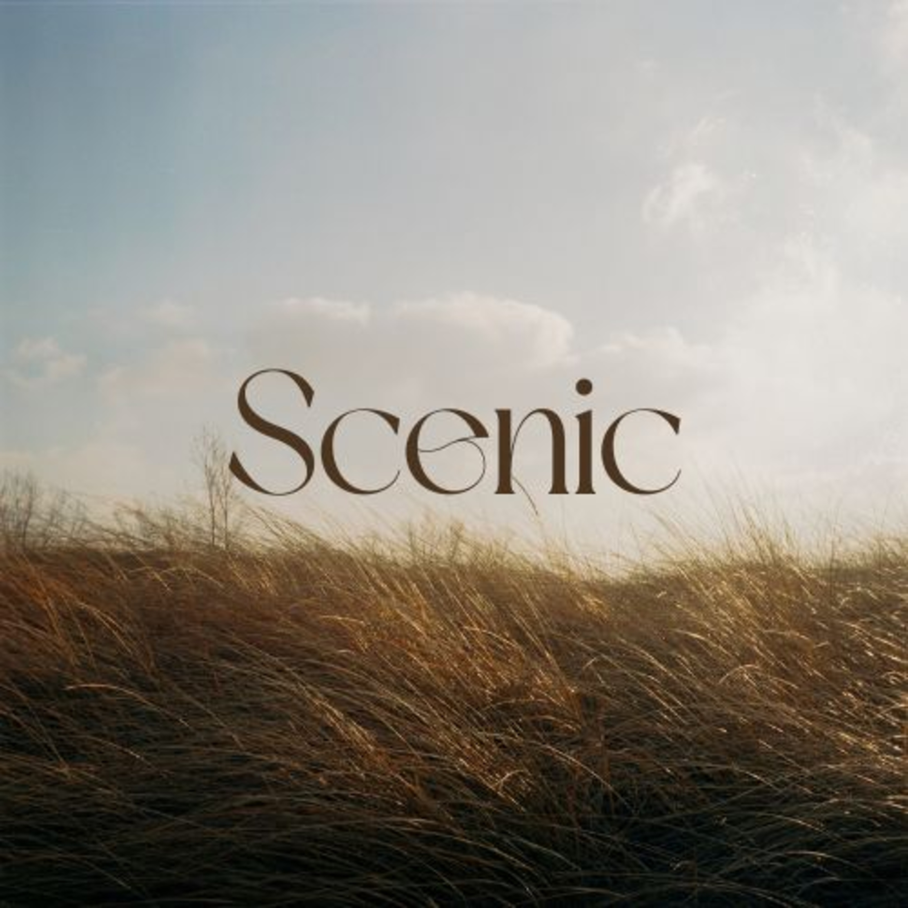 Scenic Sounds | Season 3: Episode: 12 | Whistling