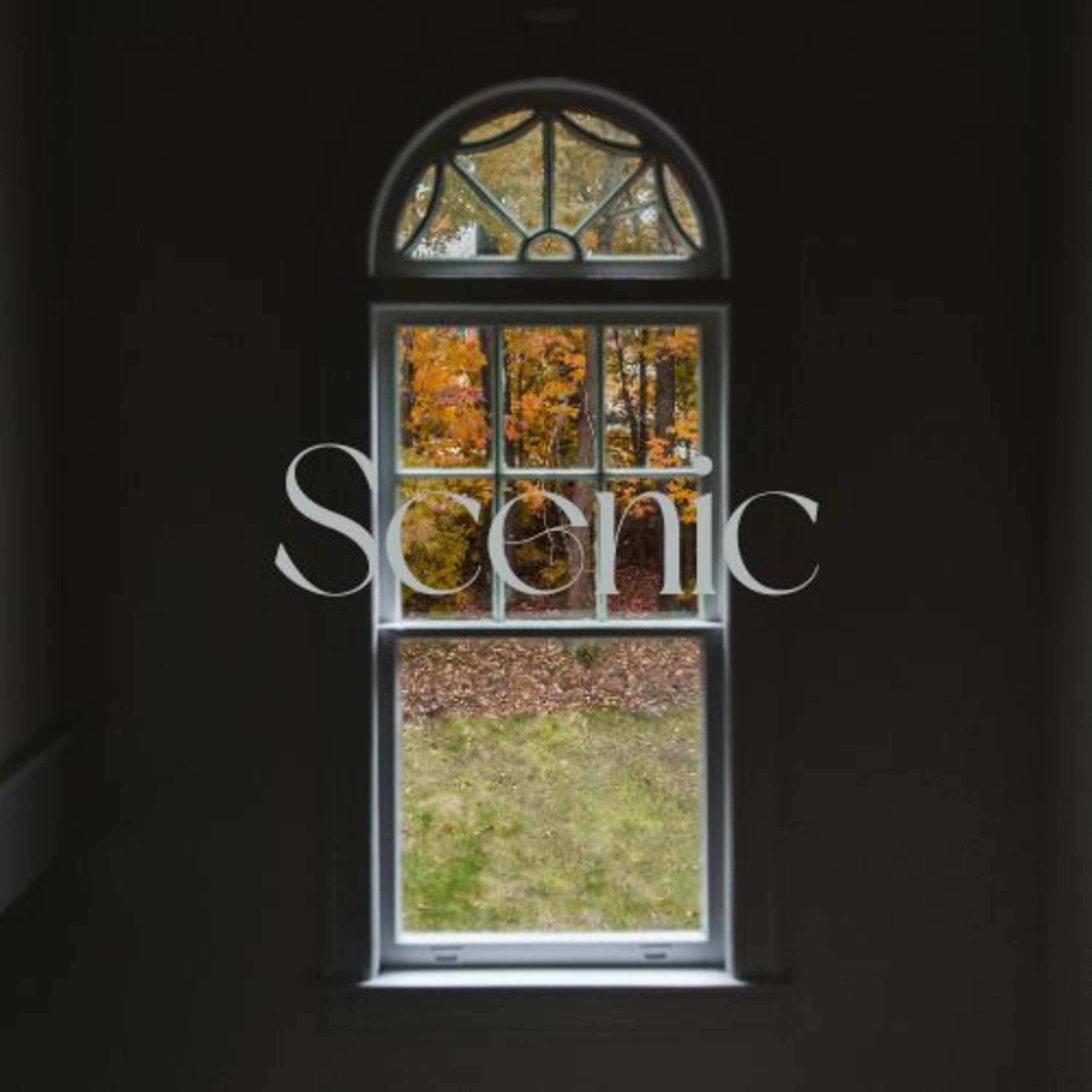 Scenic Sounds | Season 3: Episode: 14 | Windy Leaves
