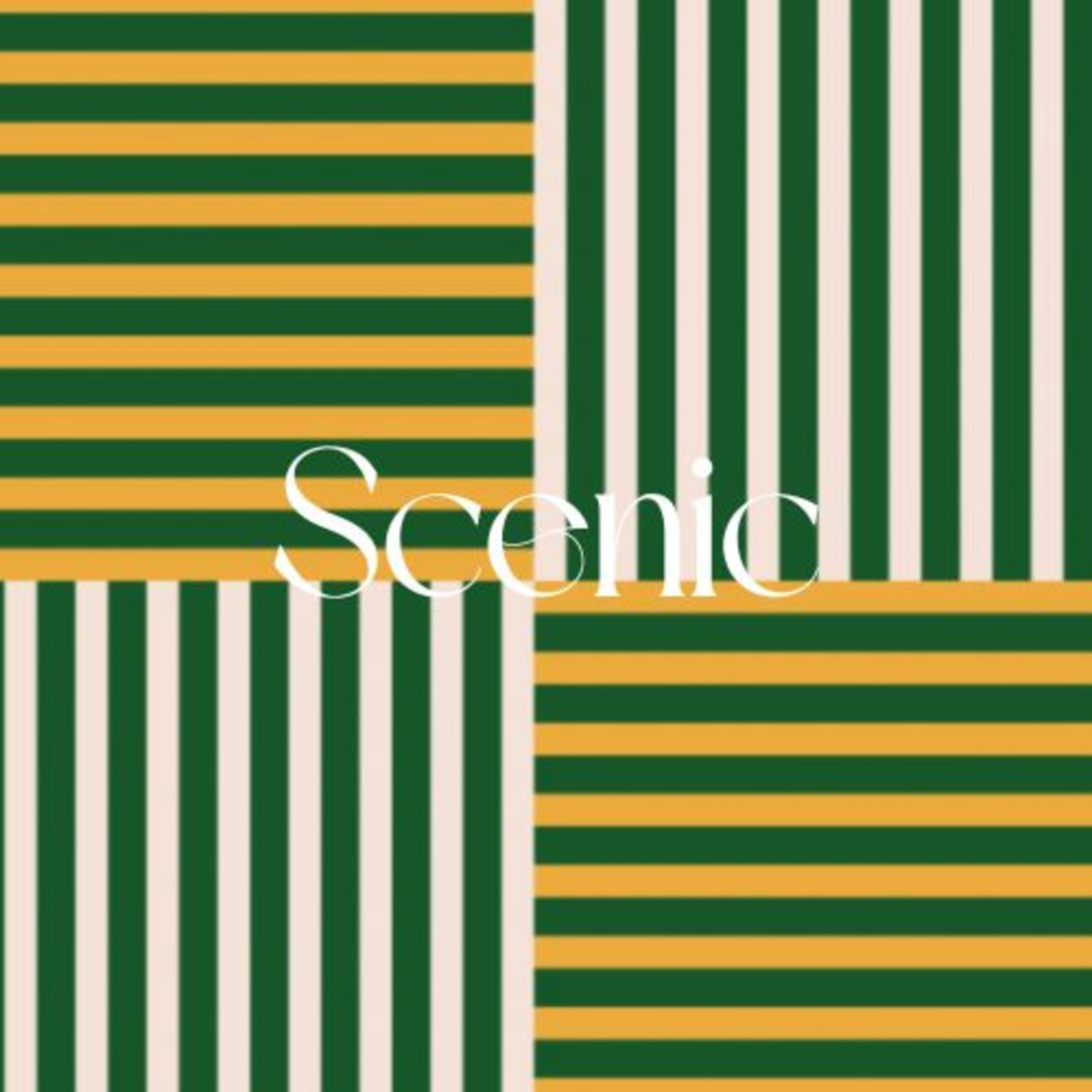 Scenic Sounds | Season 4: Episode: 2 | Wet Street