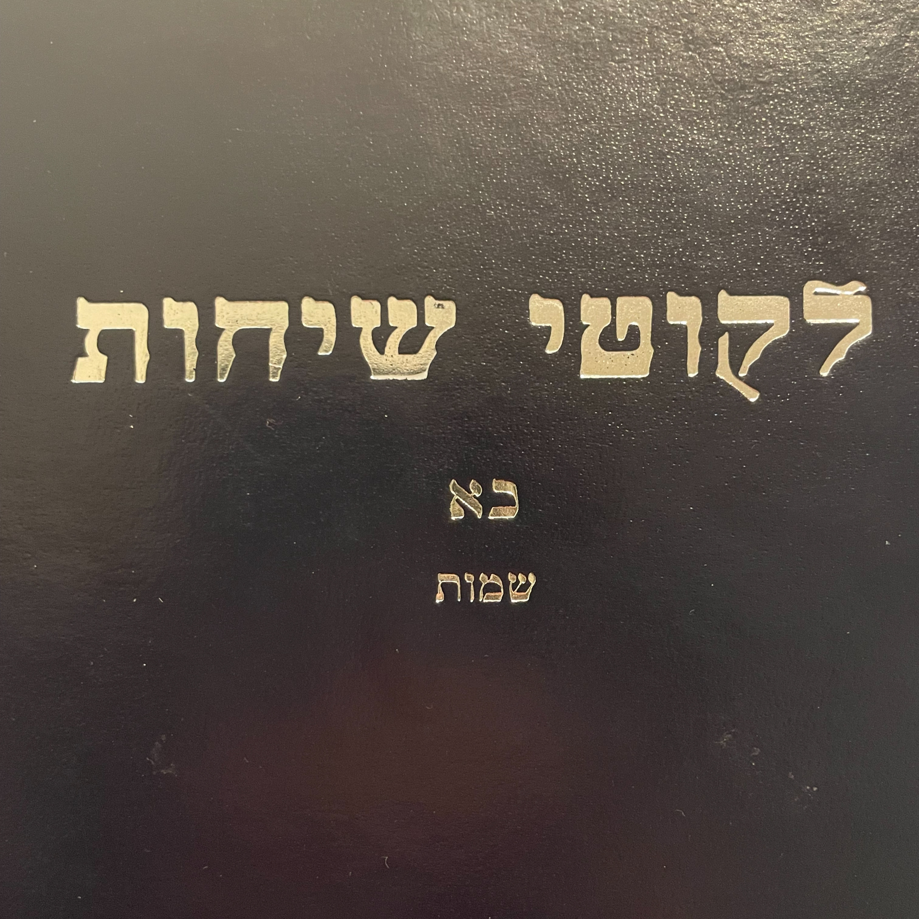 Chametz & Hefker: The Alter Rebbe’s Shita | Episode 1 episode artwork