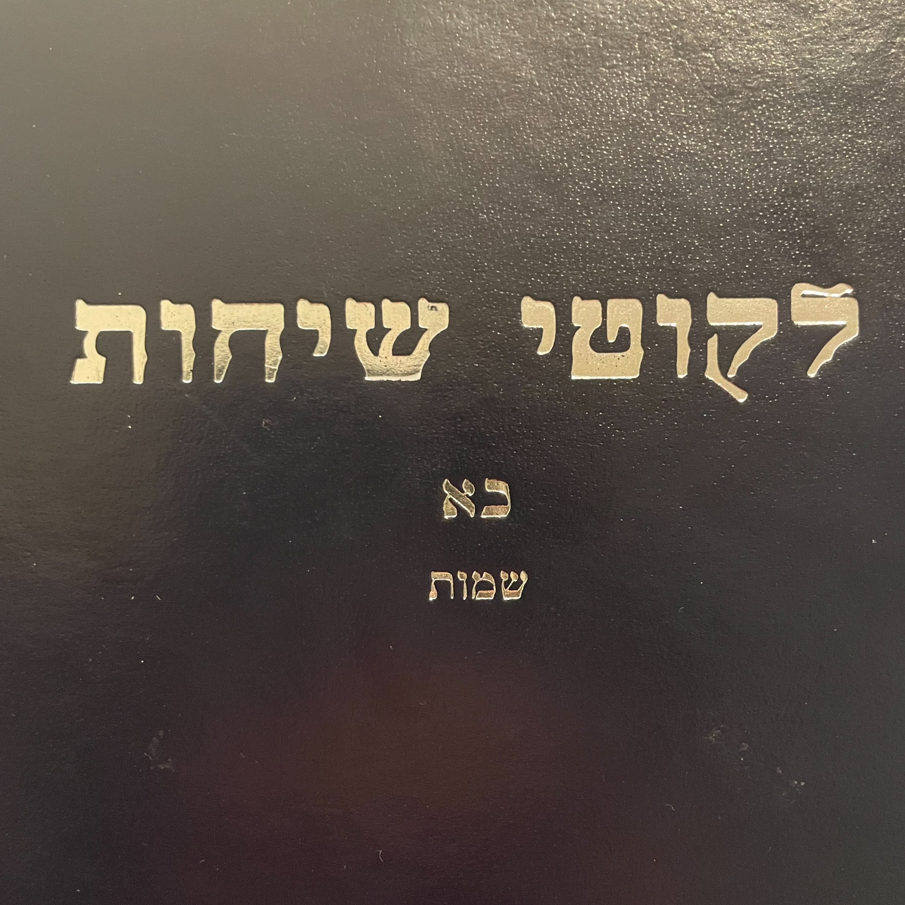 Chametz & Hefker: The Alter Rebbe’s Shita | Episode 2 episode artwork