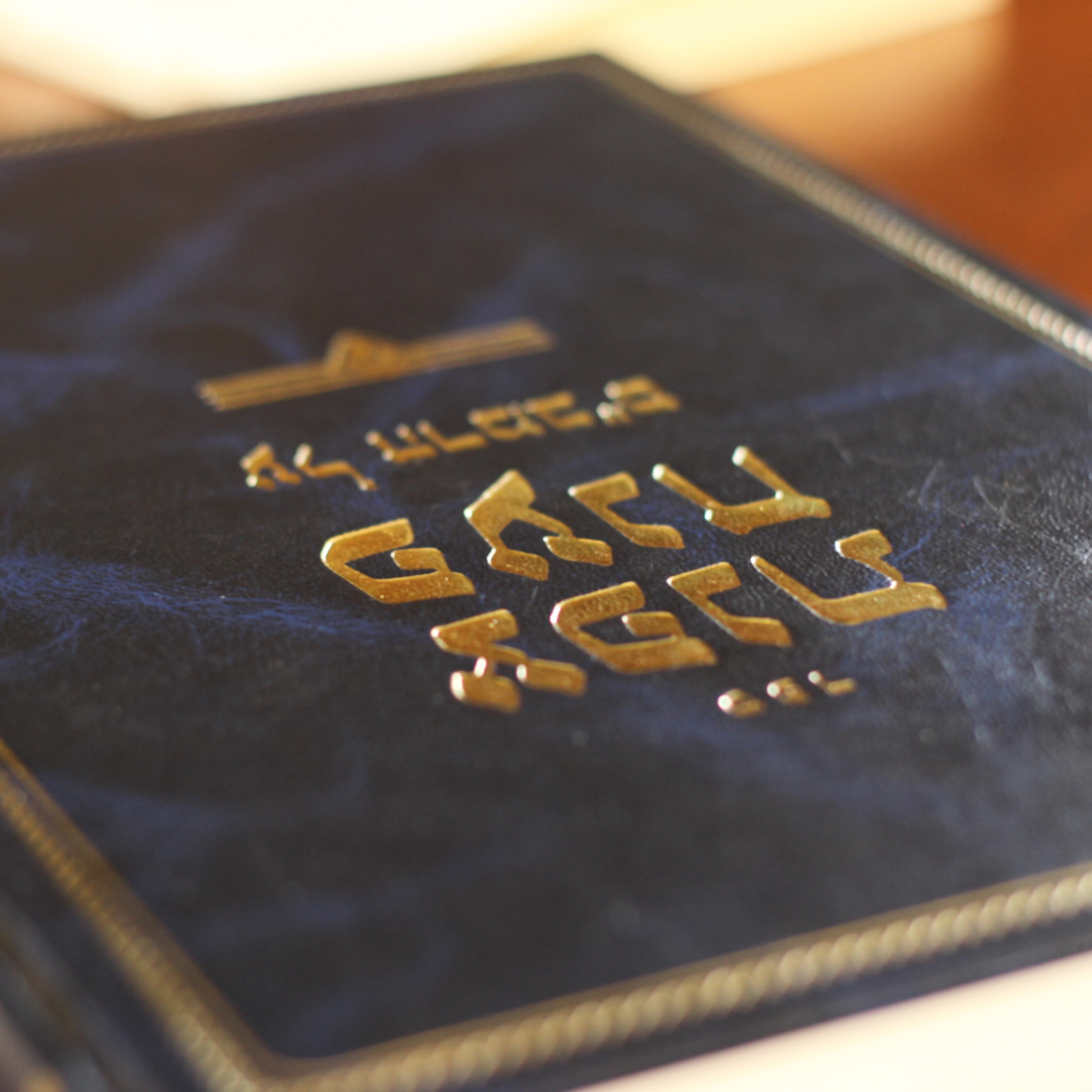 One Torah | Ep. 1: Merging the Law & the Mystical episode artwork