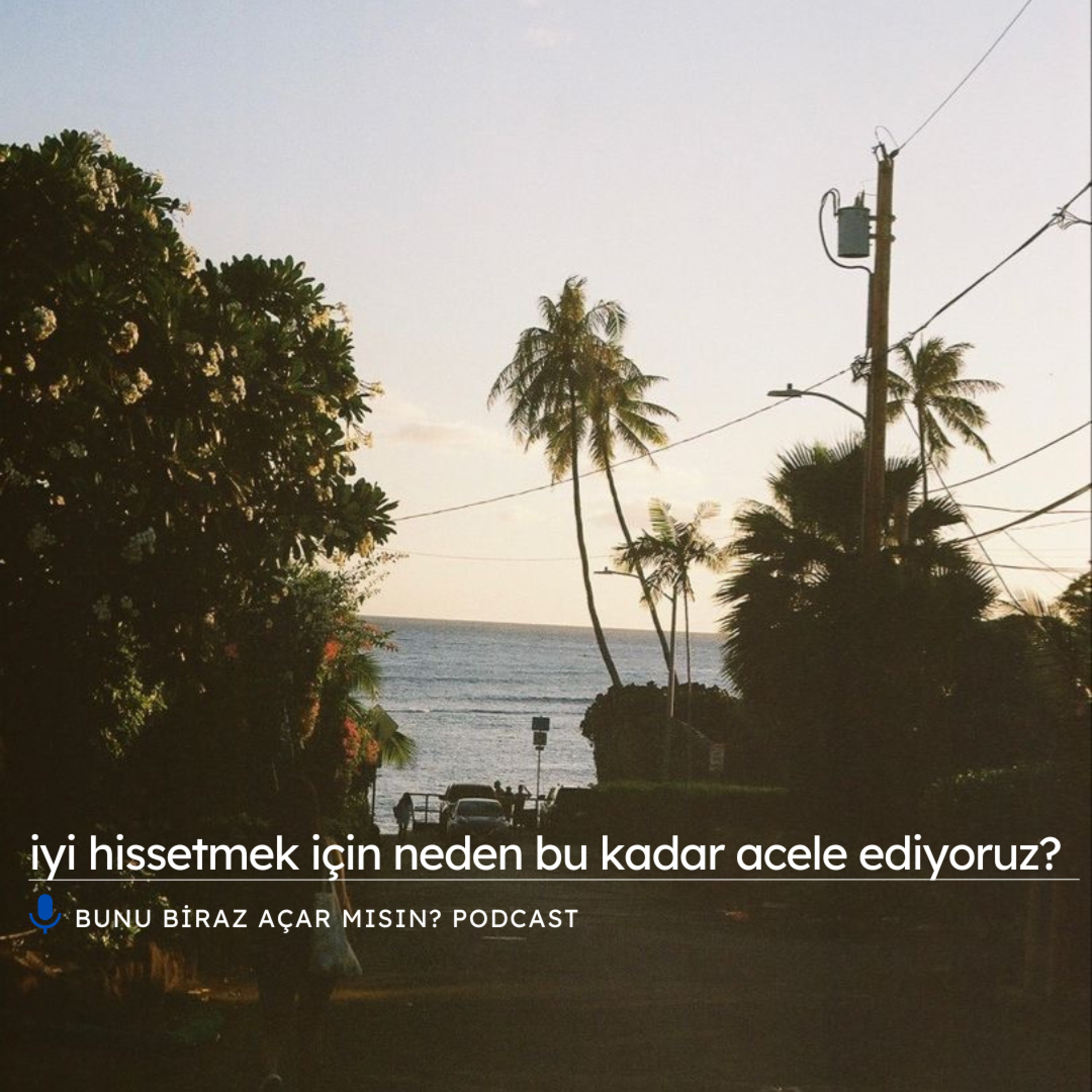 iyi hissetmek için neden bu kadar acele ediyoruz?