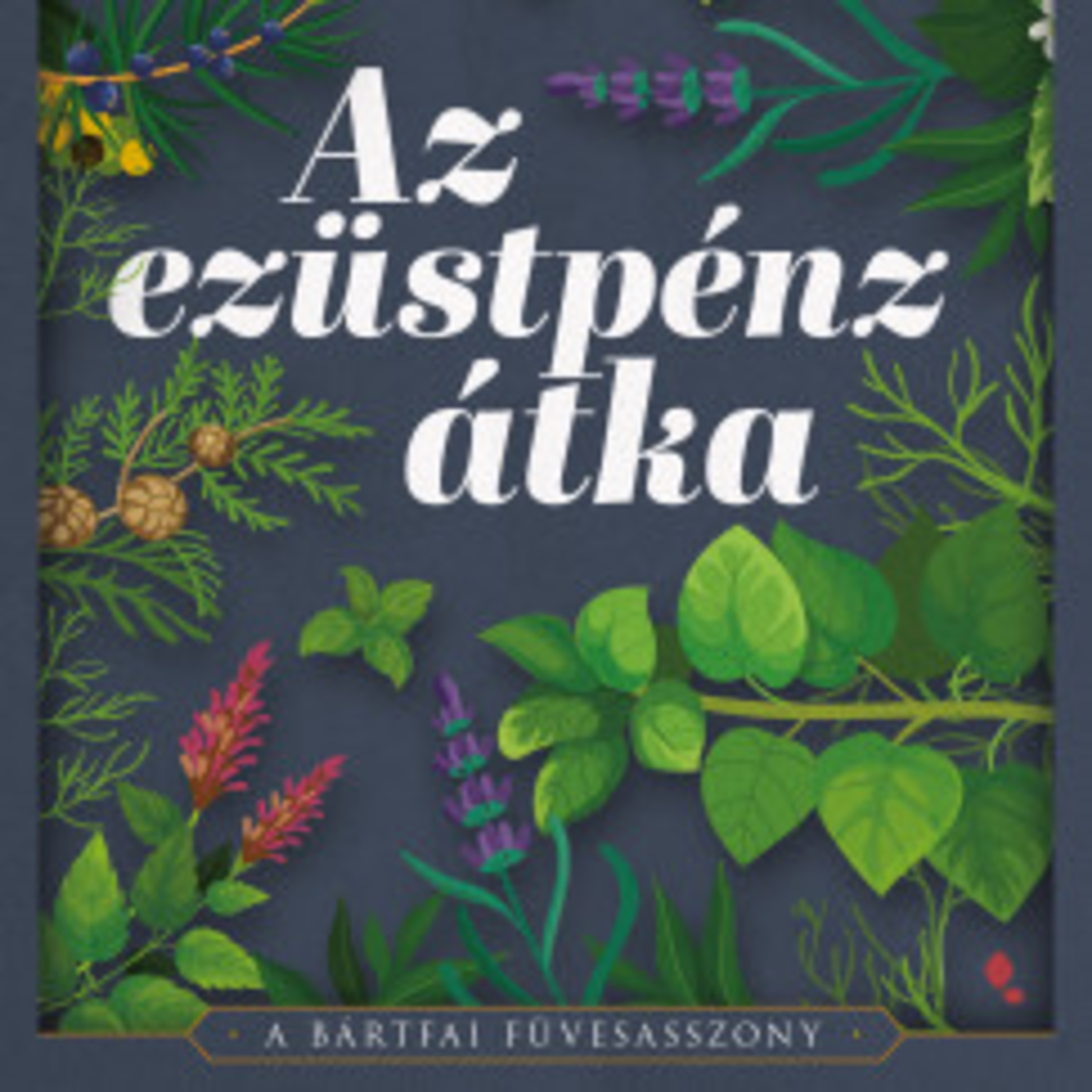 Az ezüstpénz átka - A bártfai füvesasszony - Papp Noémi episode artwork