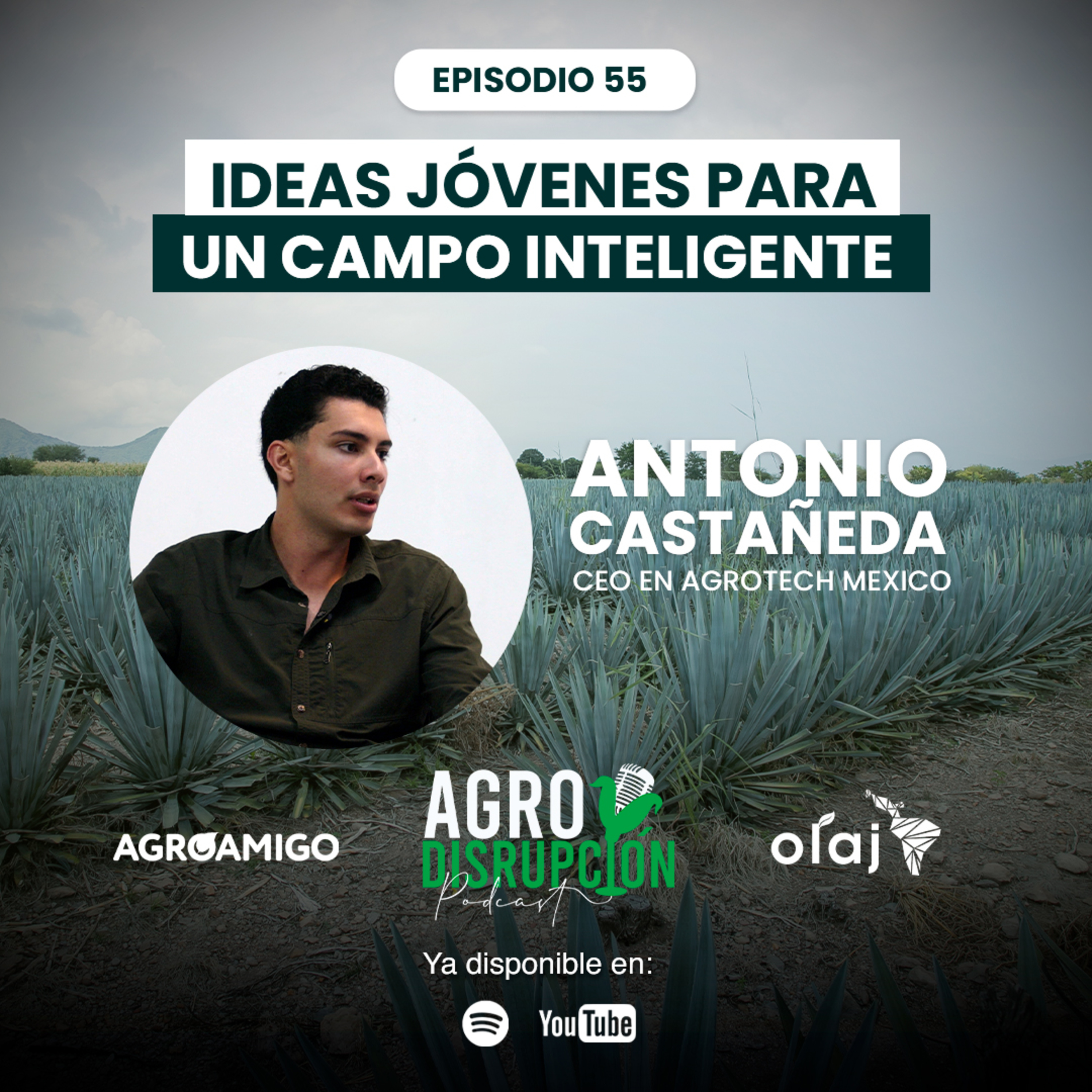 Agrodisrupcion