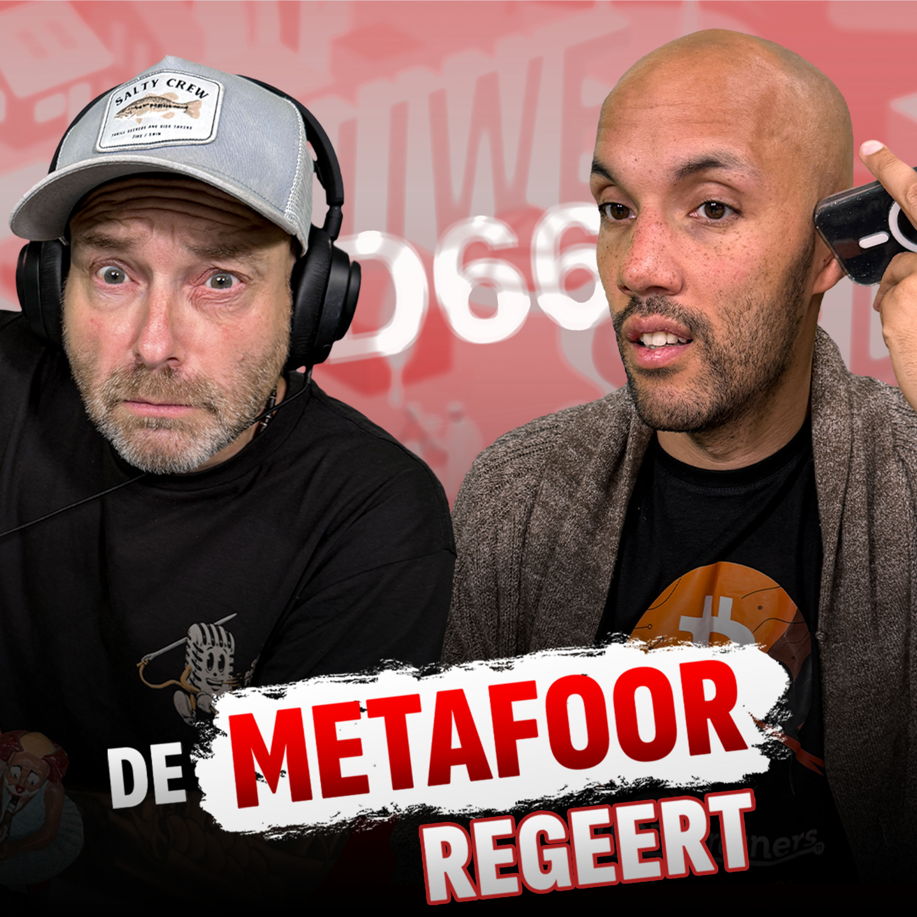 De metafoor regeert | #235