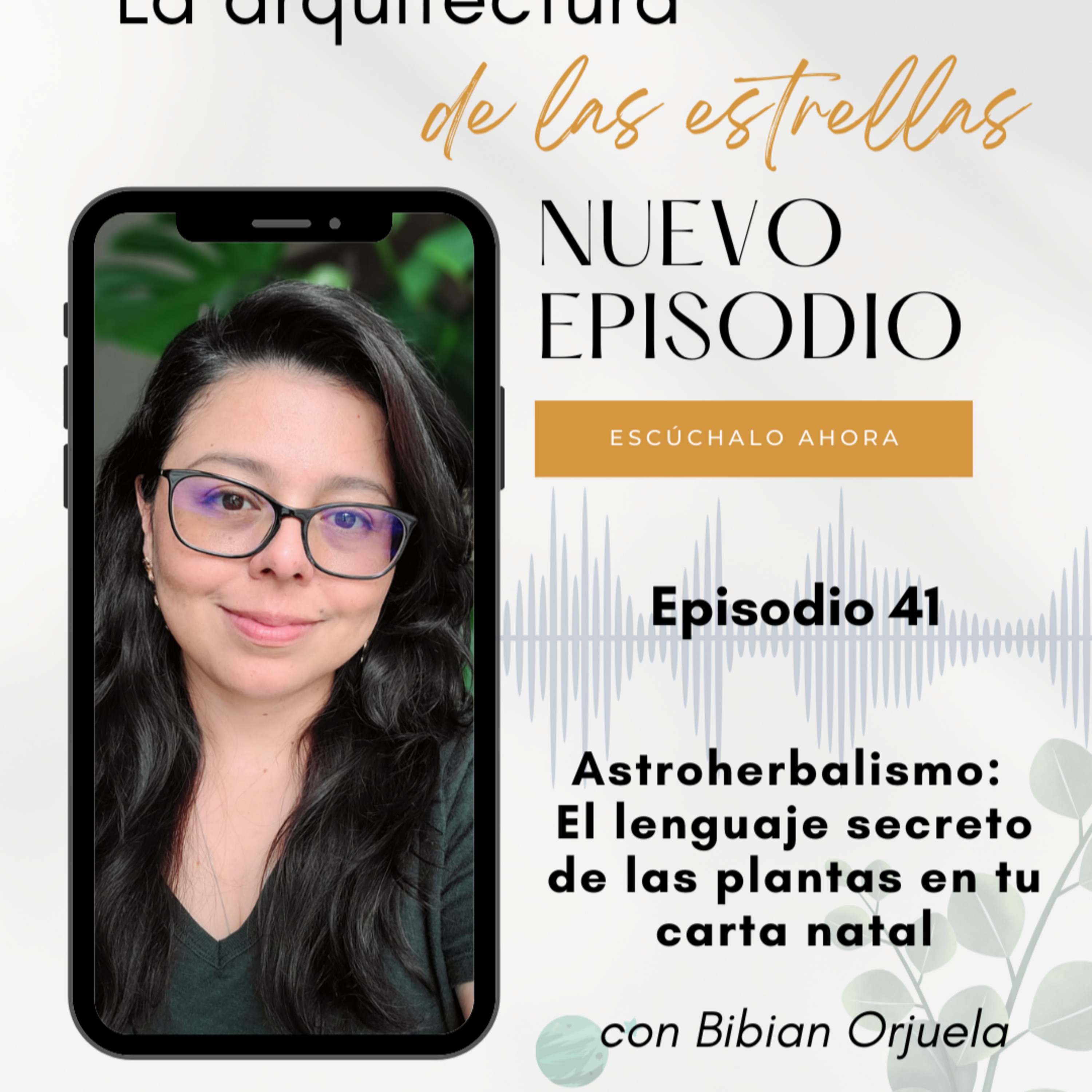 La Arquitectura de las estrellas