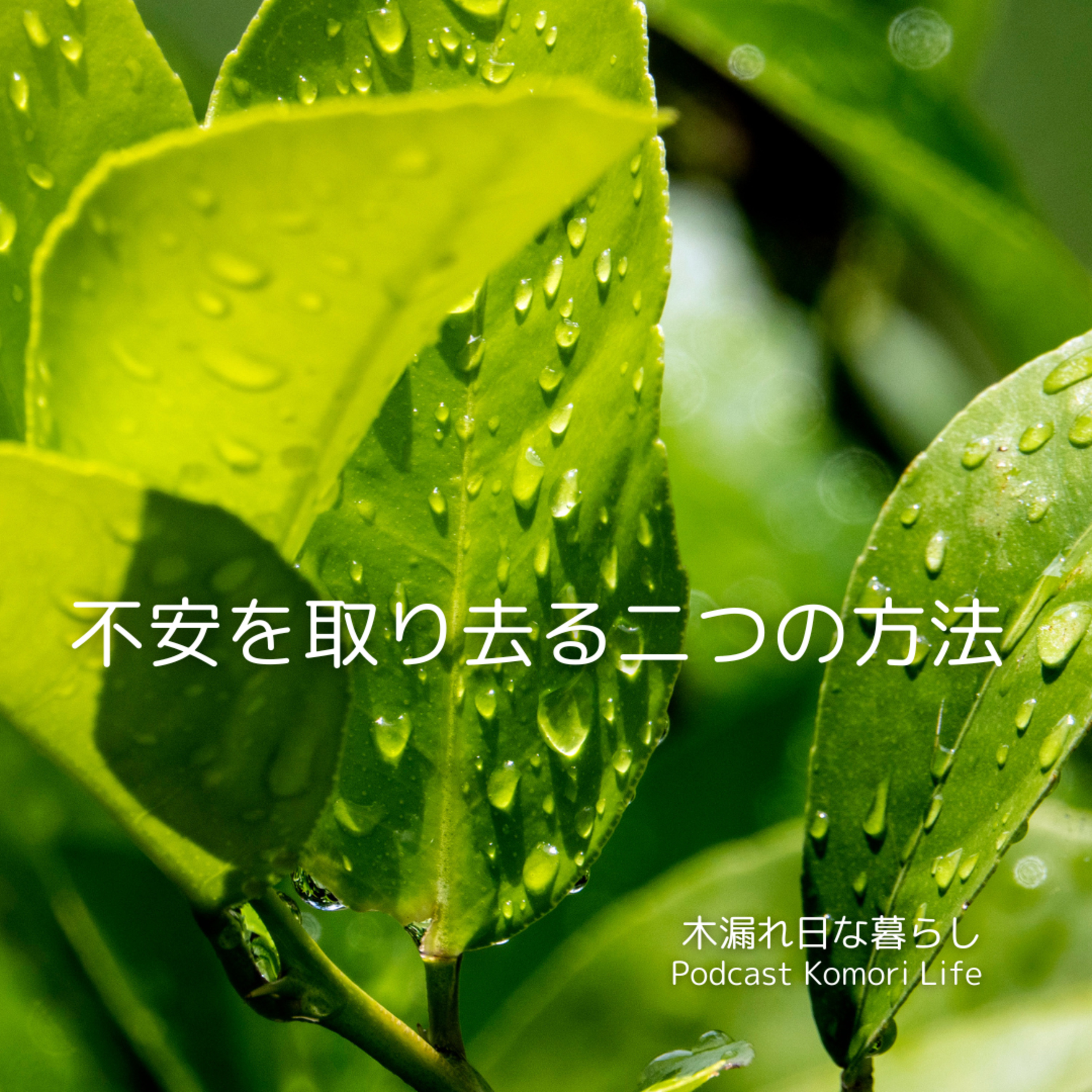 不安を取り去る二つの方法 episode artwork