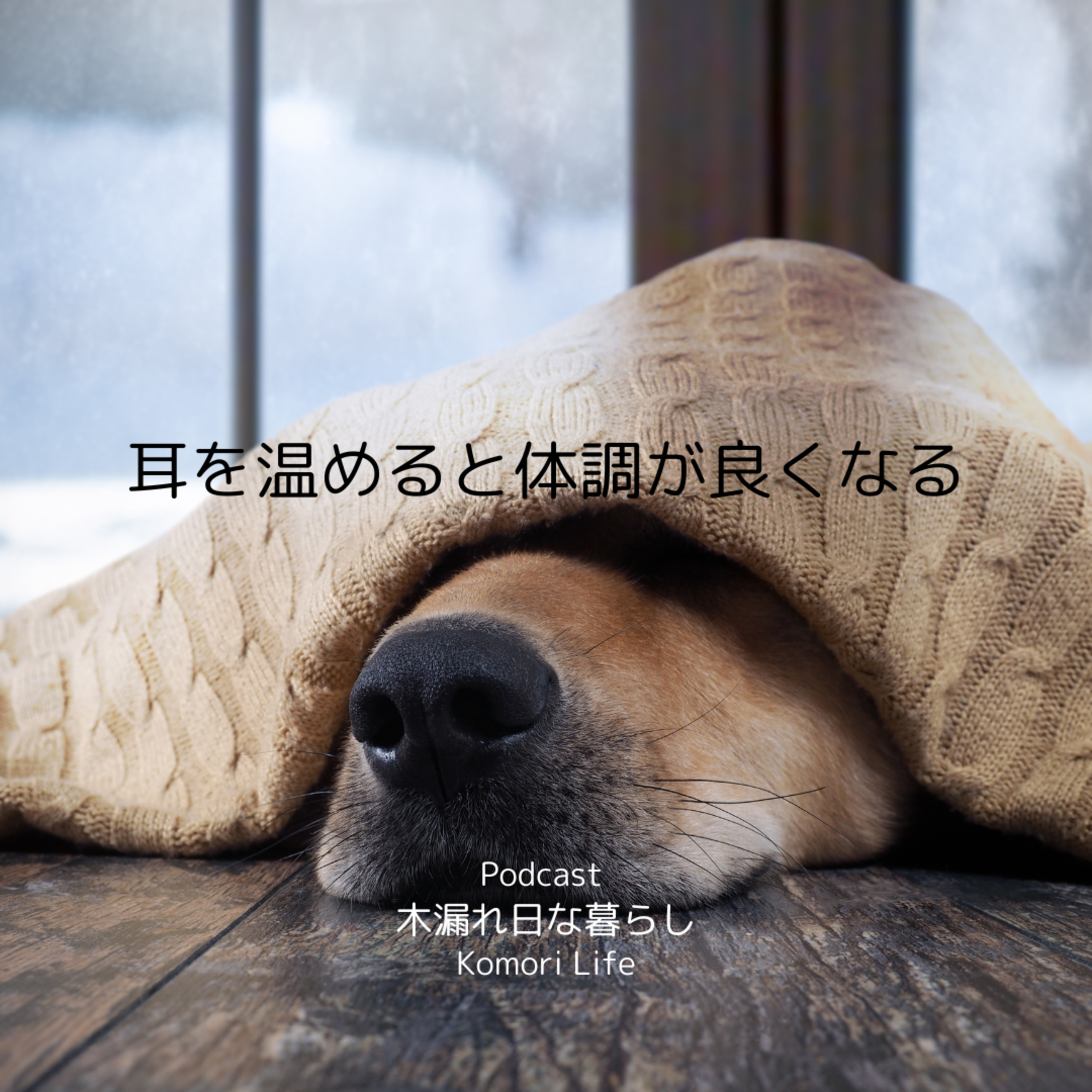 【温活】耳を温めると体調が良くなる｜頭痛持ちは必須 episode artwork