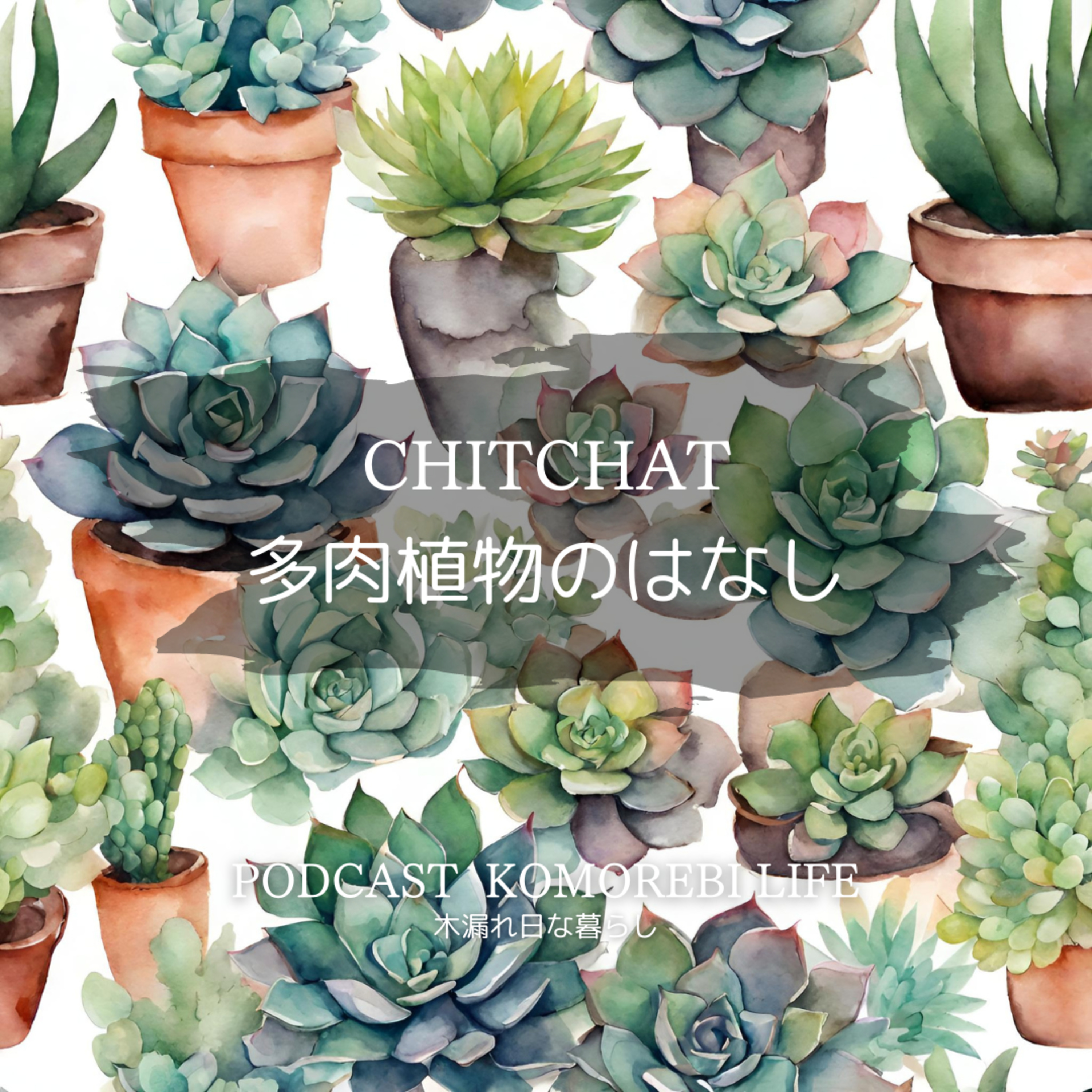 多肉植物のはなし｜CHITCHAT episode artwork