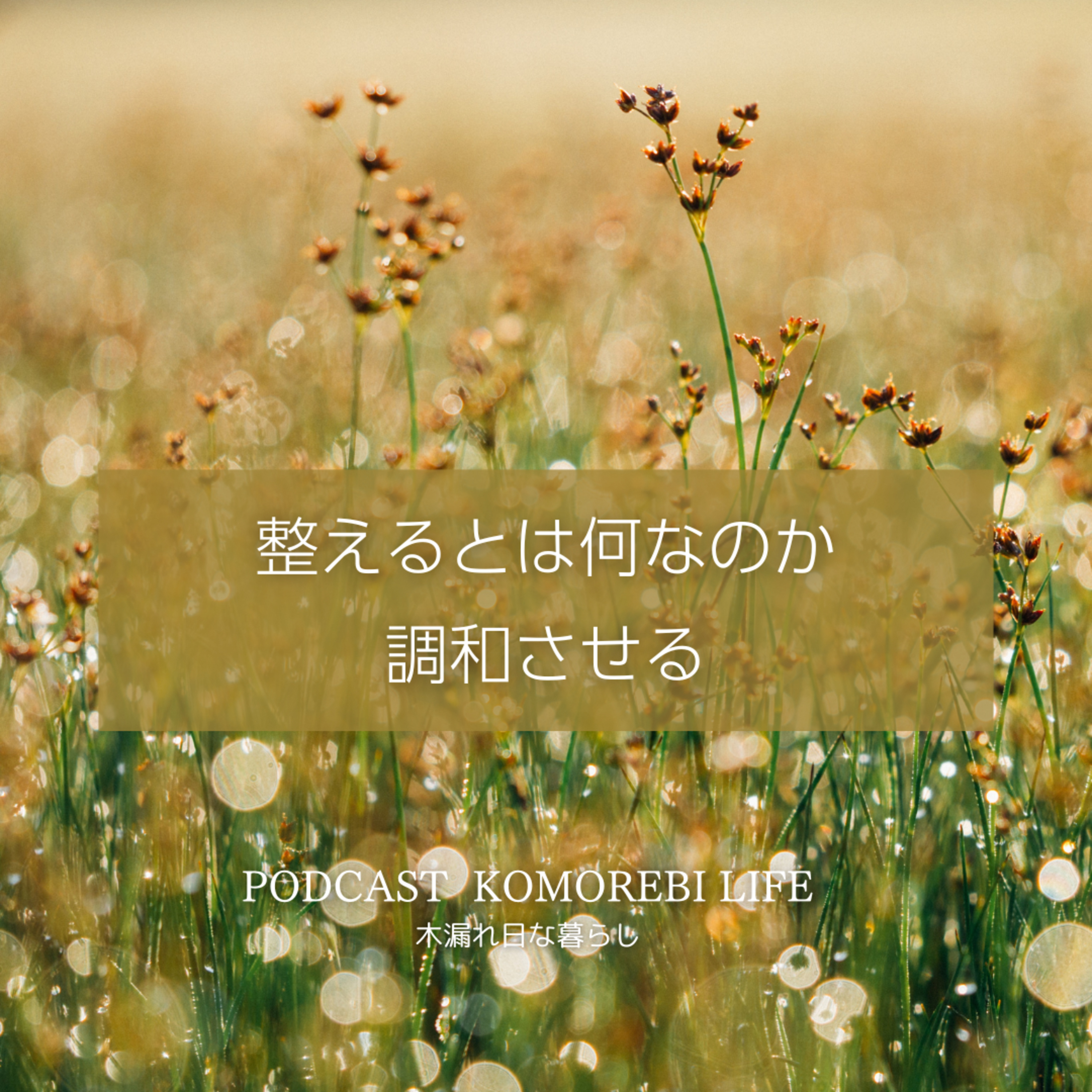 整えるとは何なのか｜調和がとれると理想の自分に近づける episode artwork