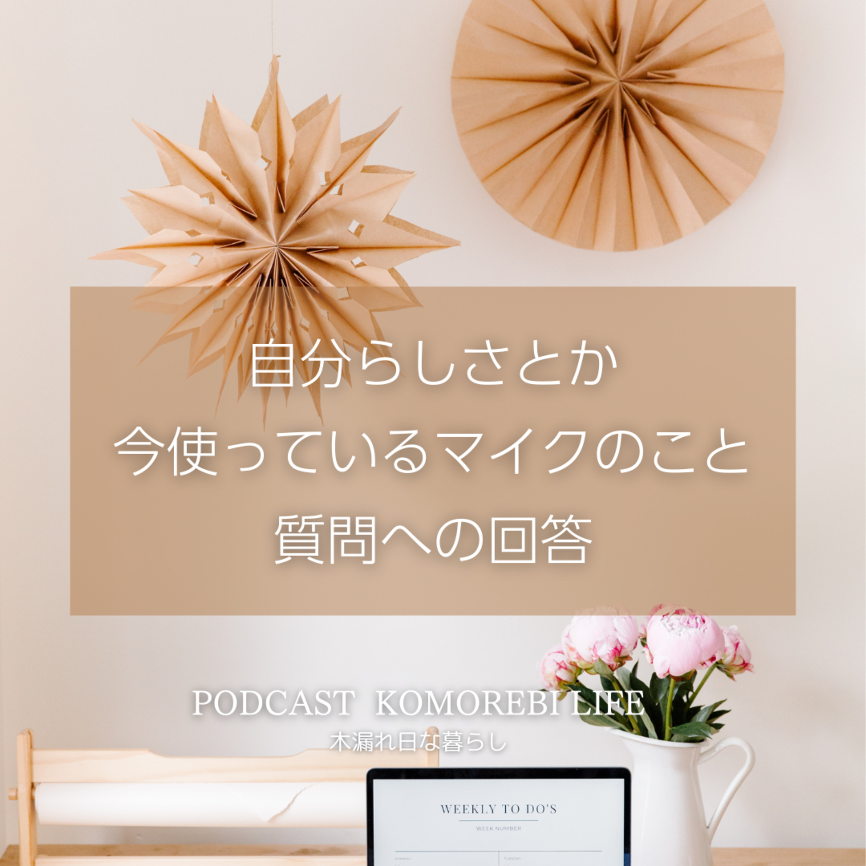 自分らしさとか今使っているマイクのこととか｜質問への回答 episode artwork