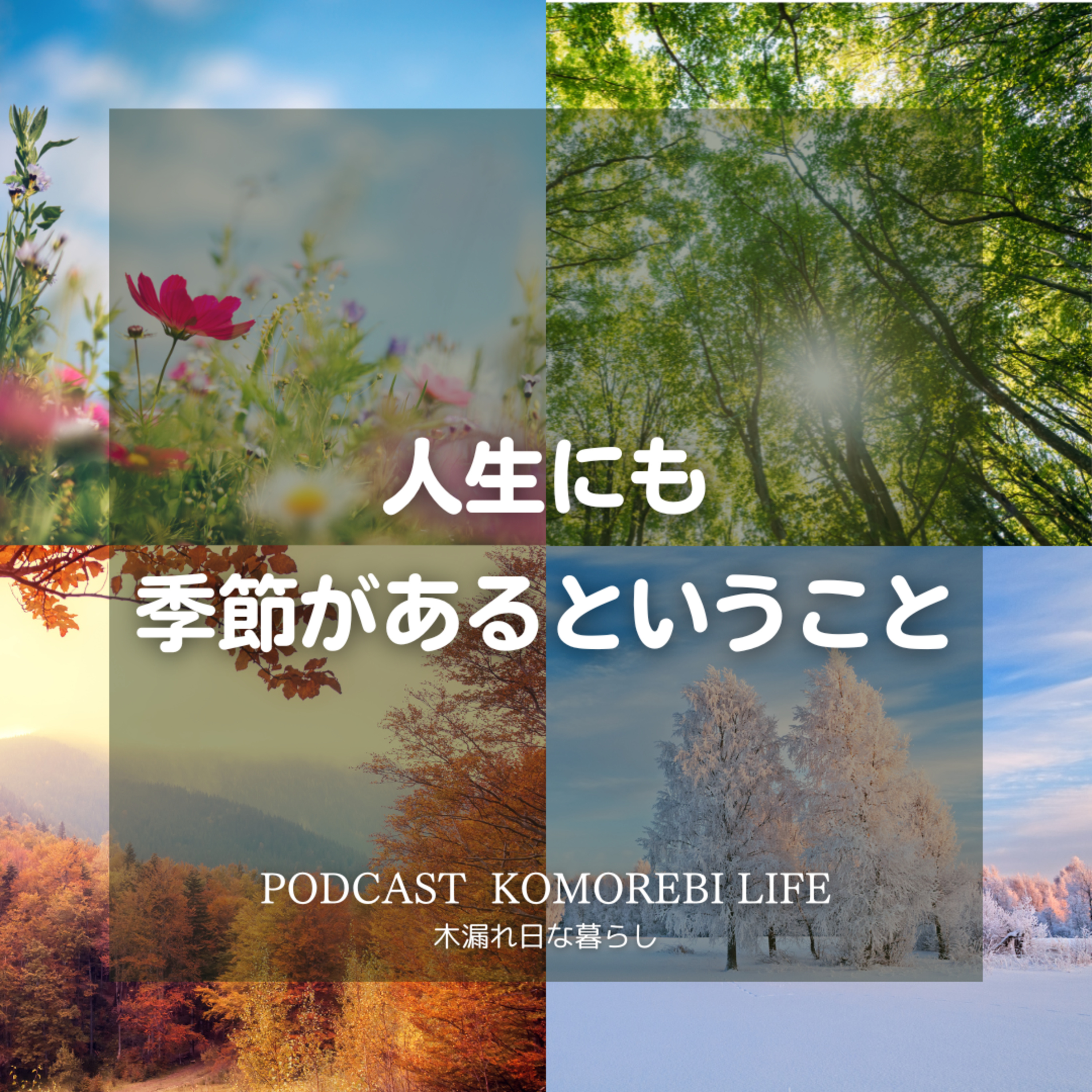 人生の中にも季節がある episode artwork