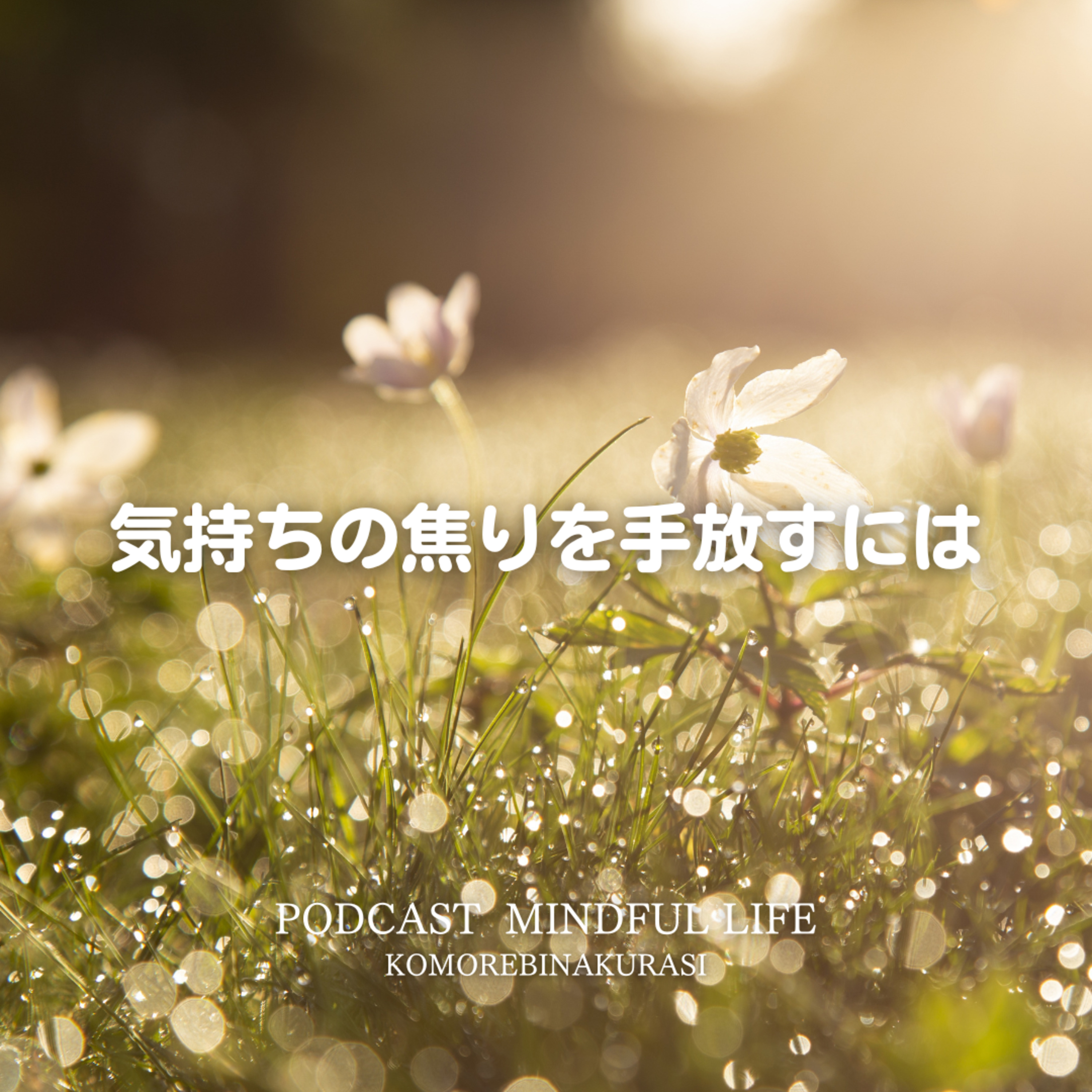 気持ちの焦りを手放すには episode artwork