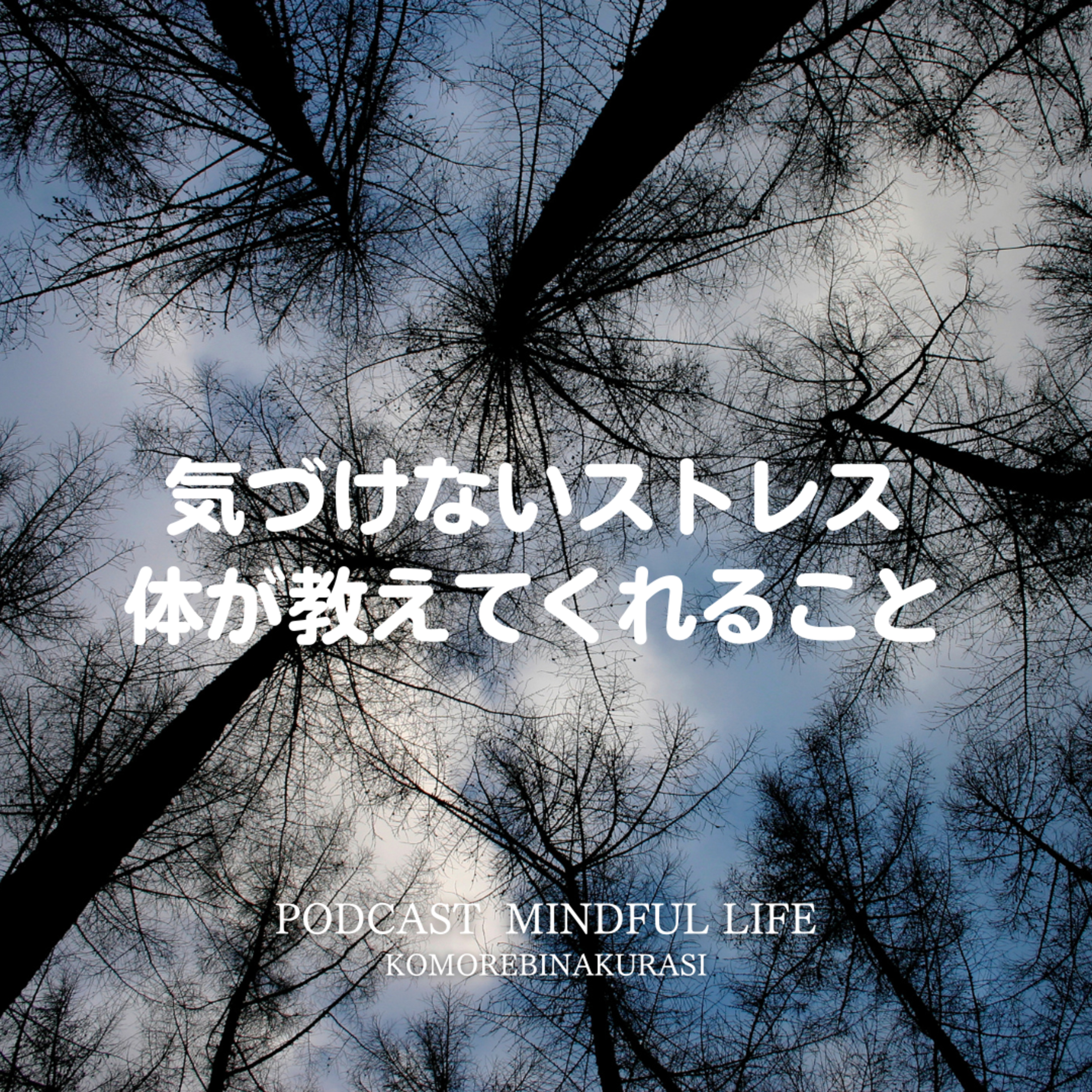 気づけないストレス、身体が教えてくれること episode artwork