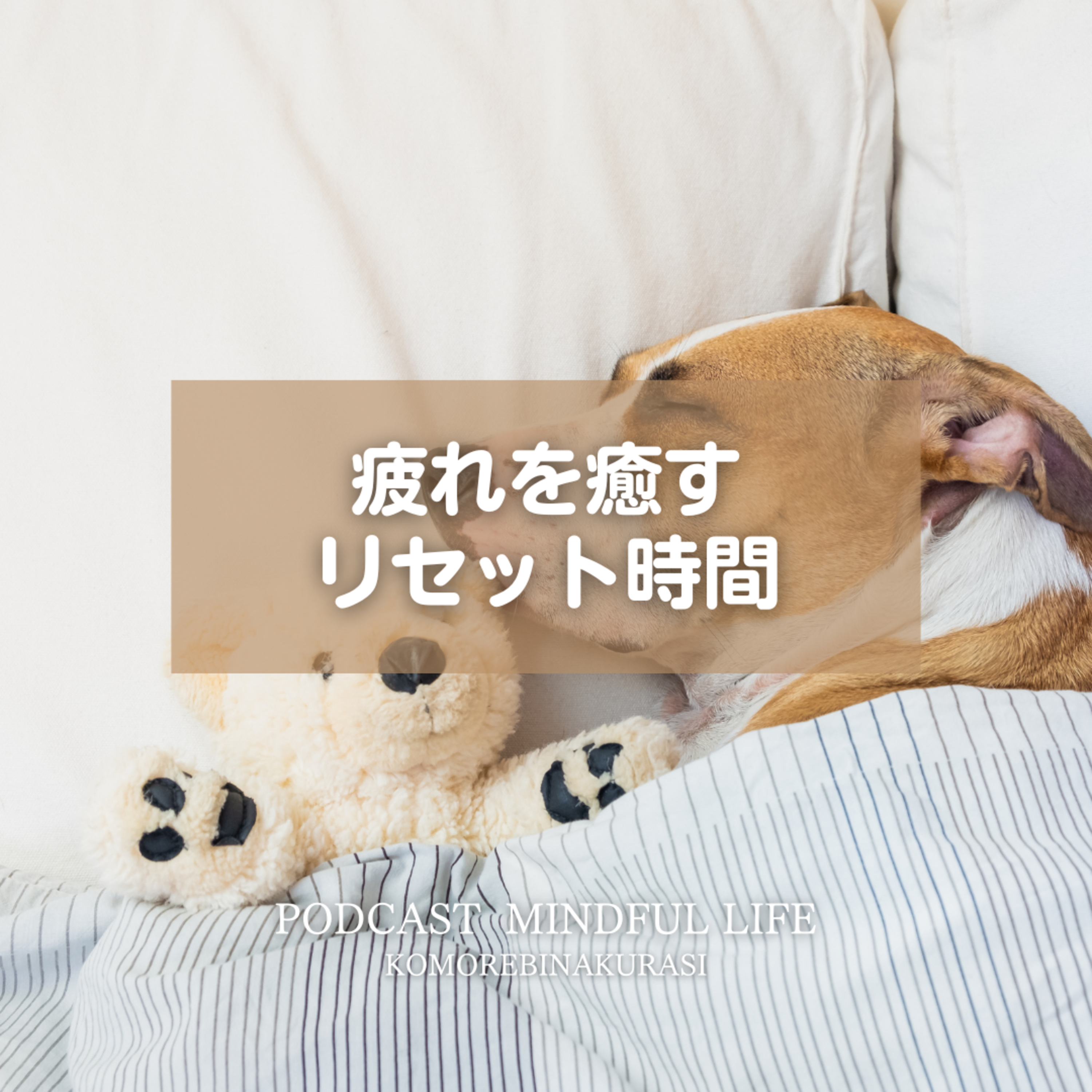疲れを癒すためのリセット時間の話 episode artwork
