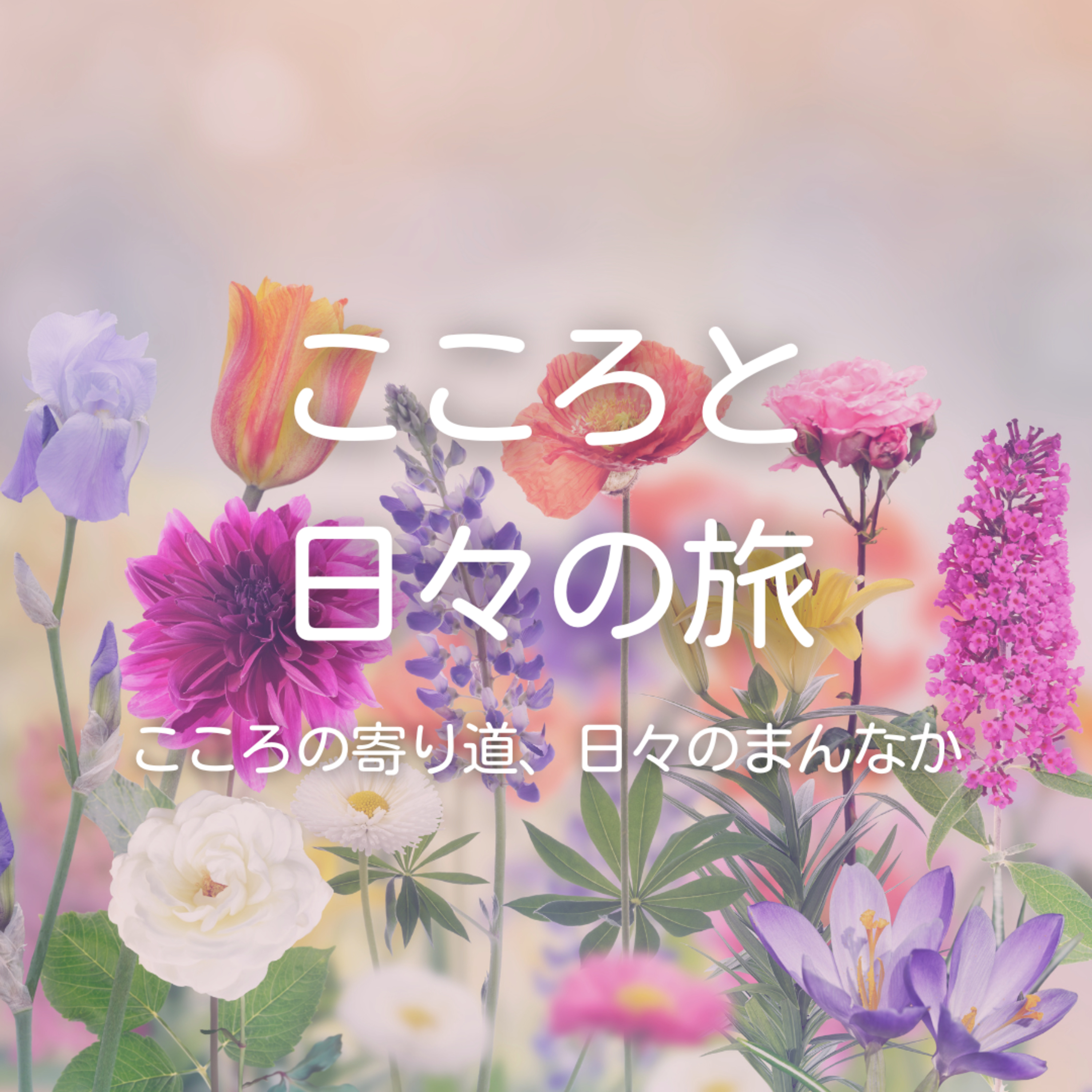 変わりながら、自分であり続ける episode artwork