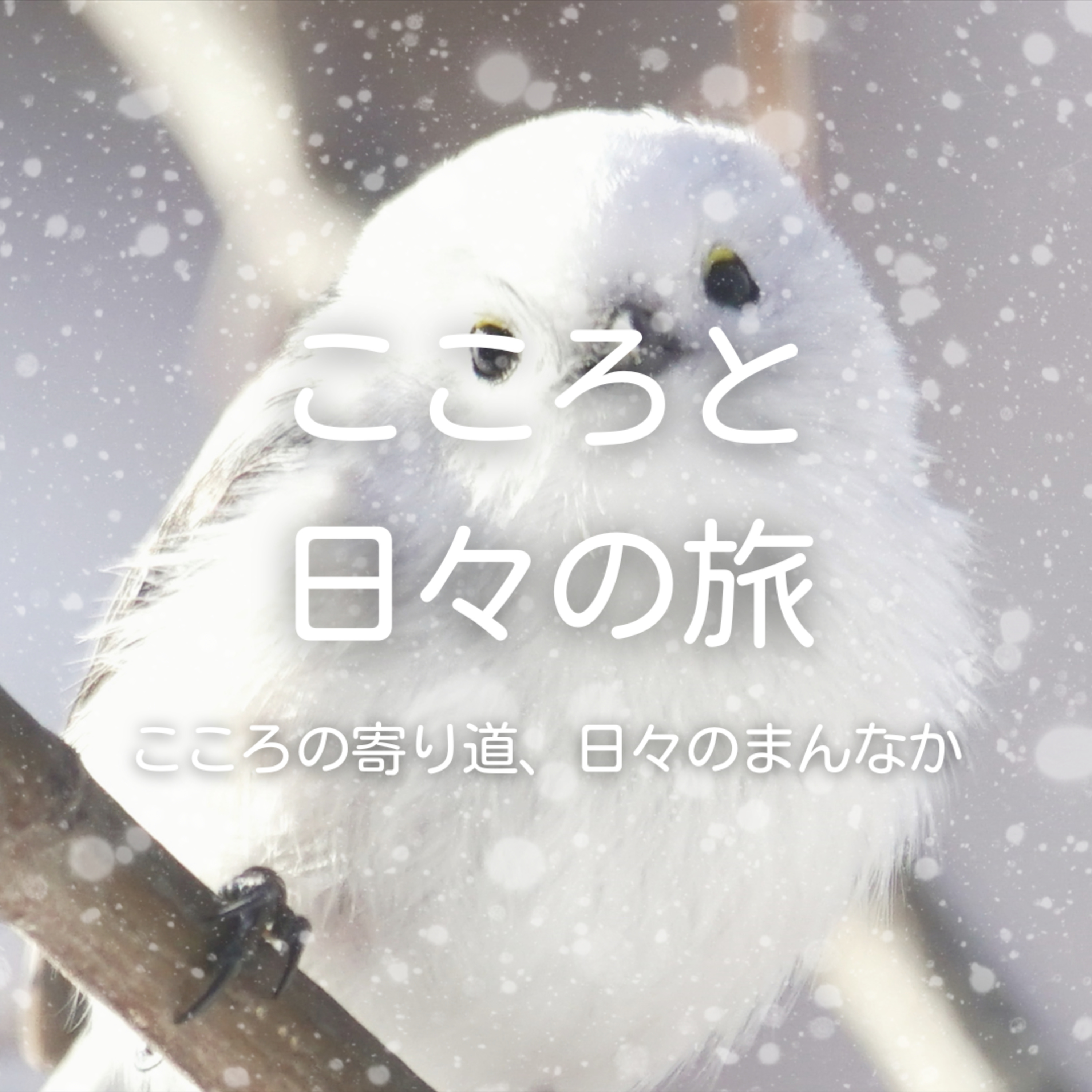 北海道銘菓好きなものを紹介 episode artwork