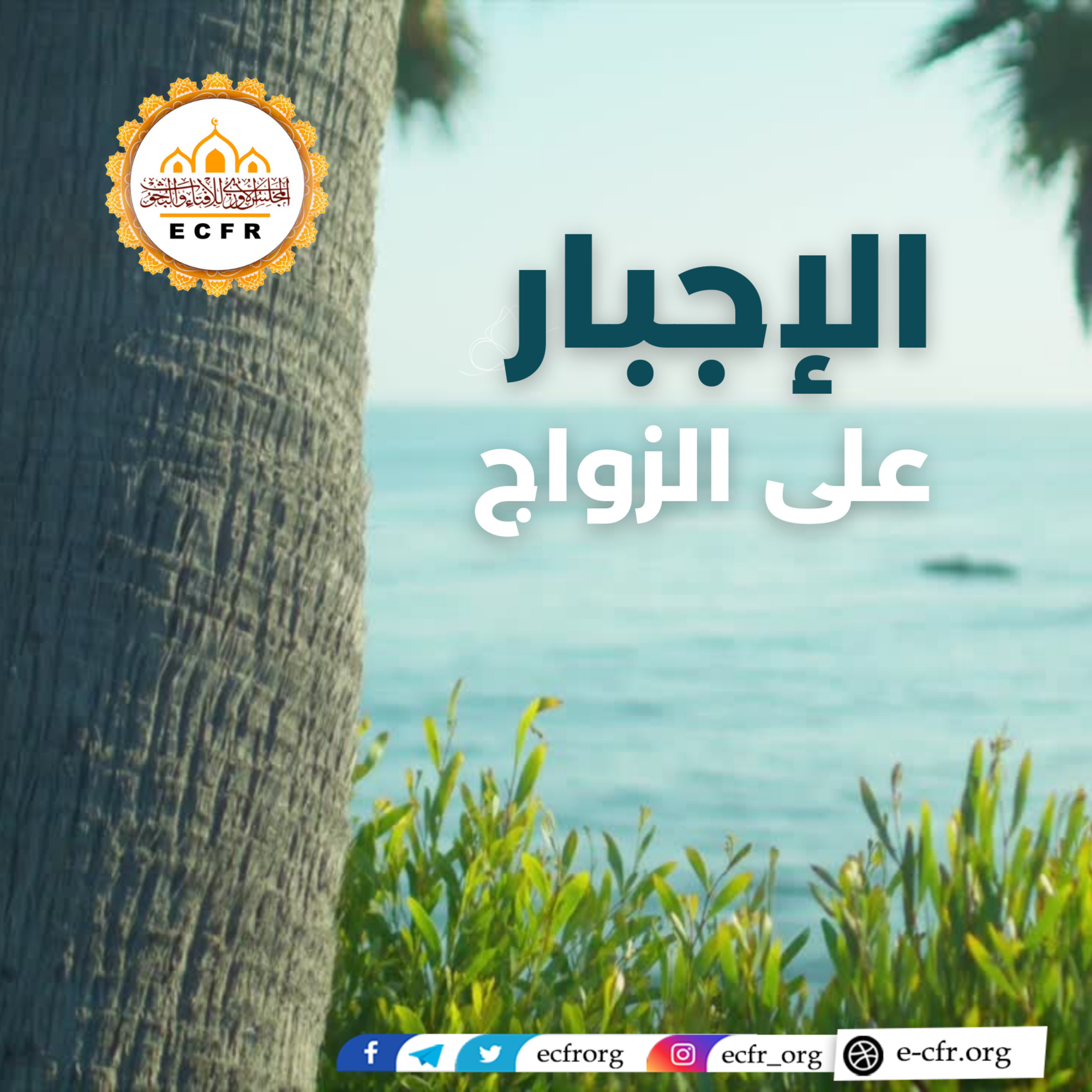 الإجبار على الزواج episode artwork