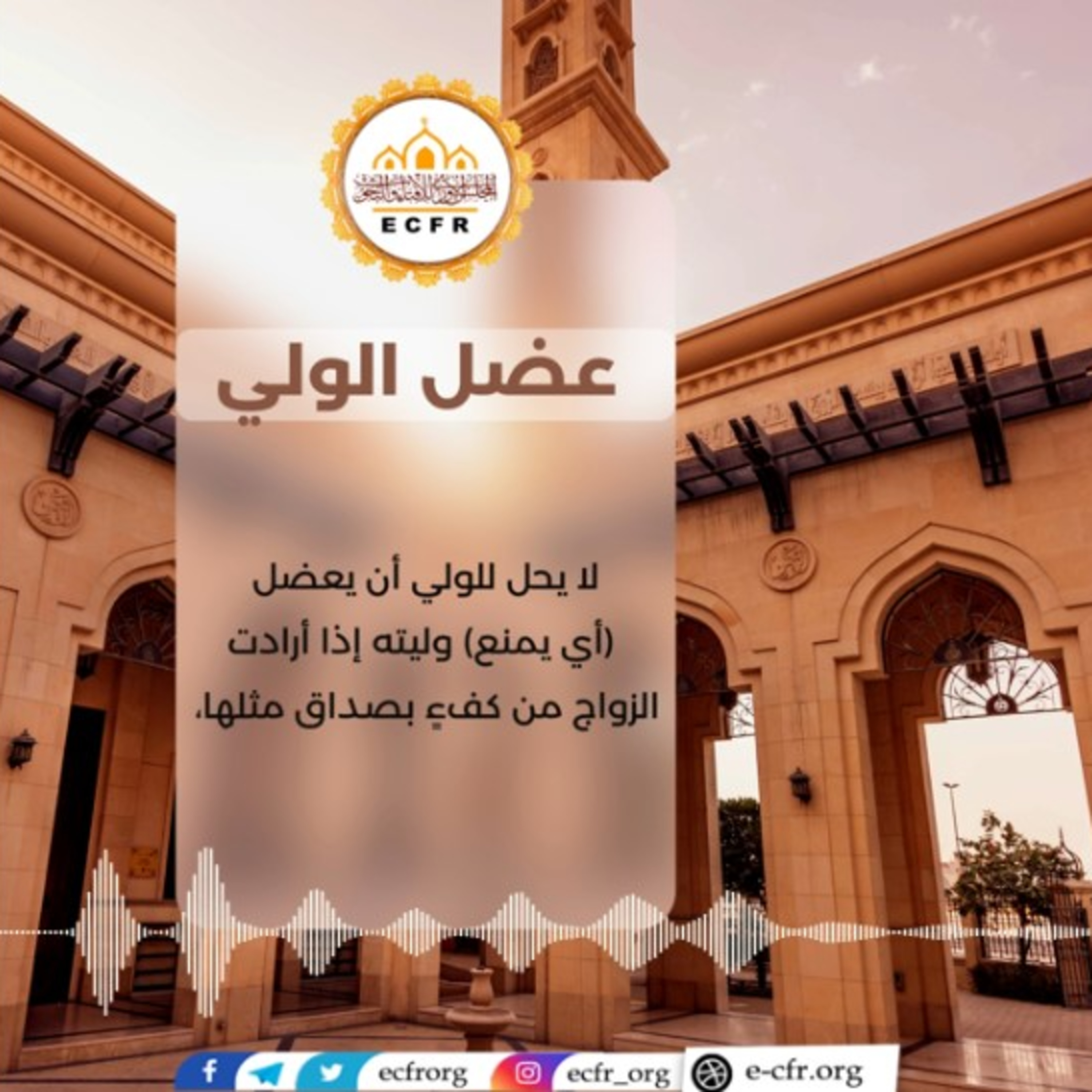 عضل الولي episode artwork