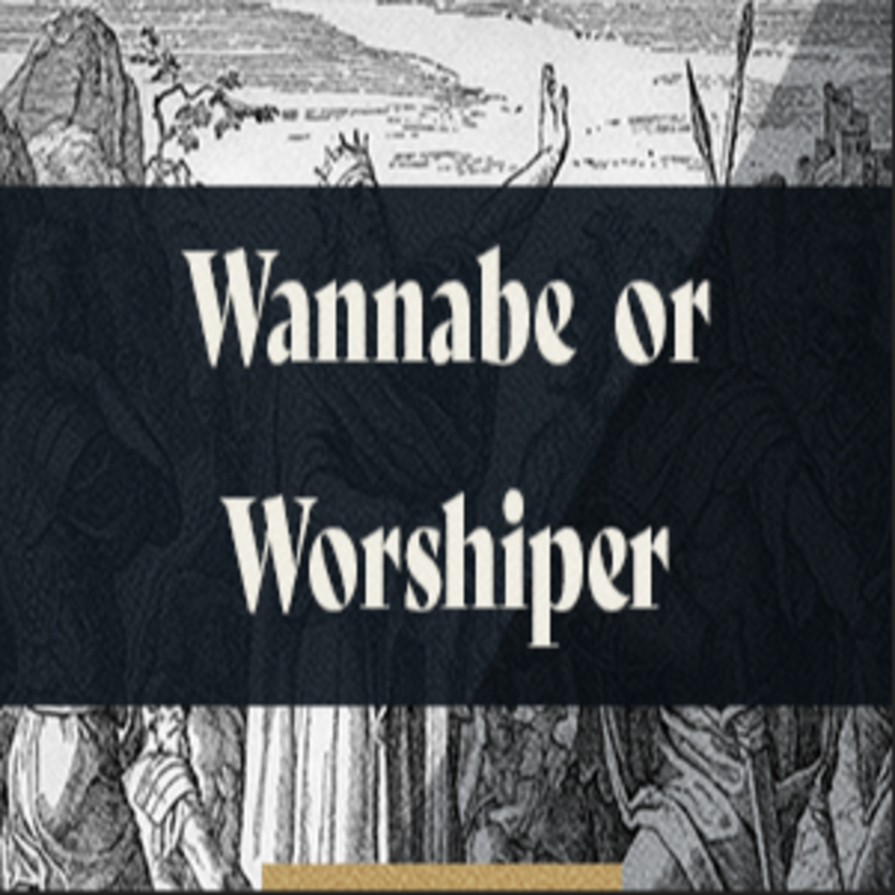 Wannabe or a Worshipper episode artwork
