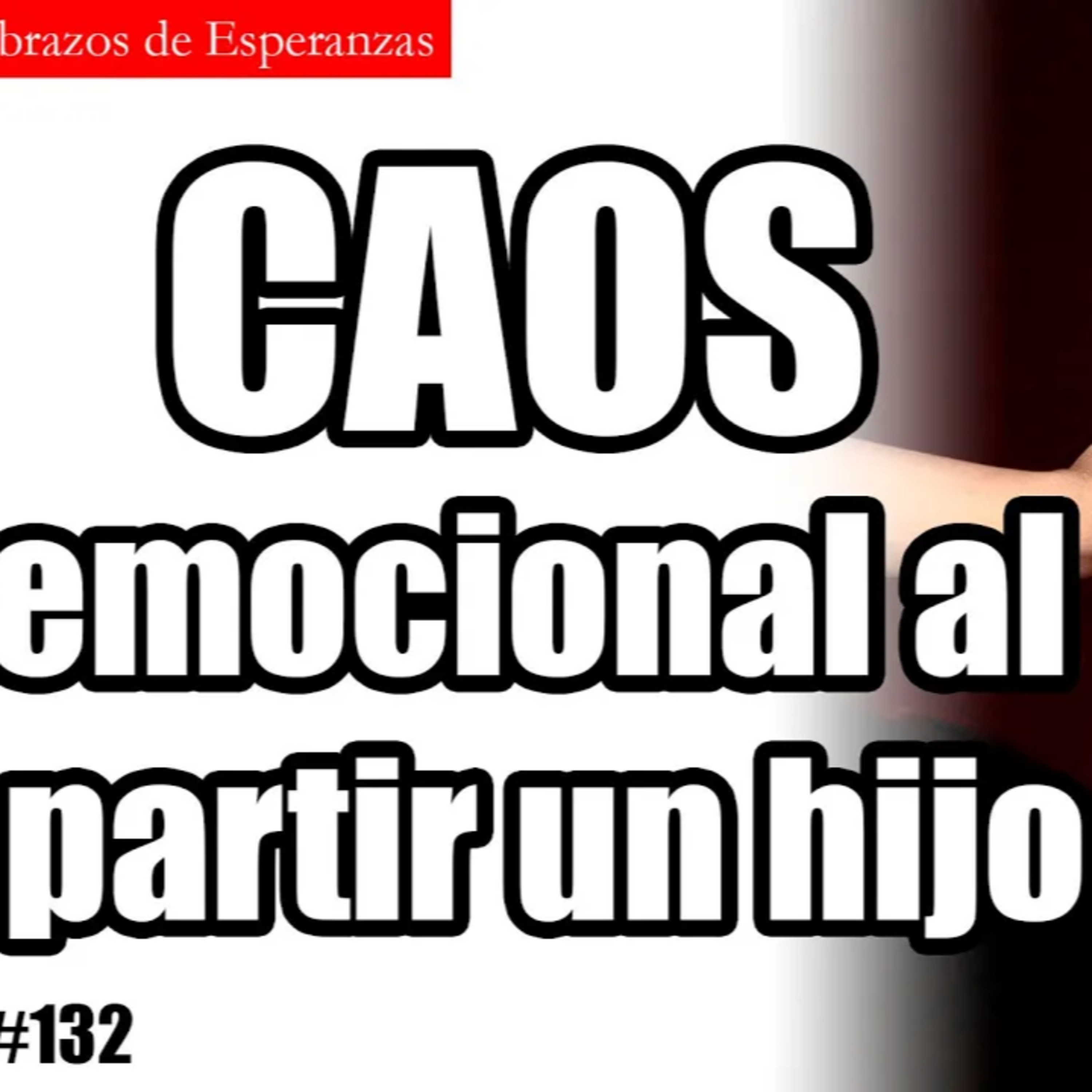 DUELO PROFUNDO: cómo enfrentar el descontrol EMOCIONAL con la pérdida de un hijo episode artwork